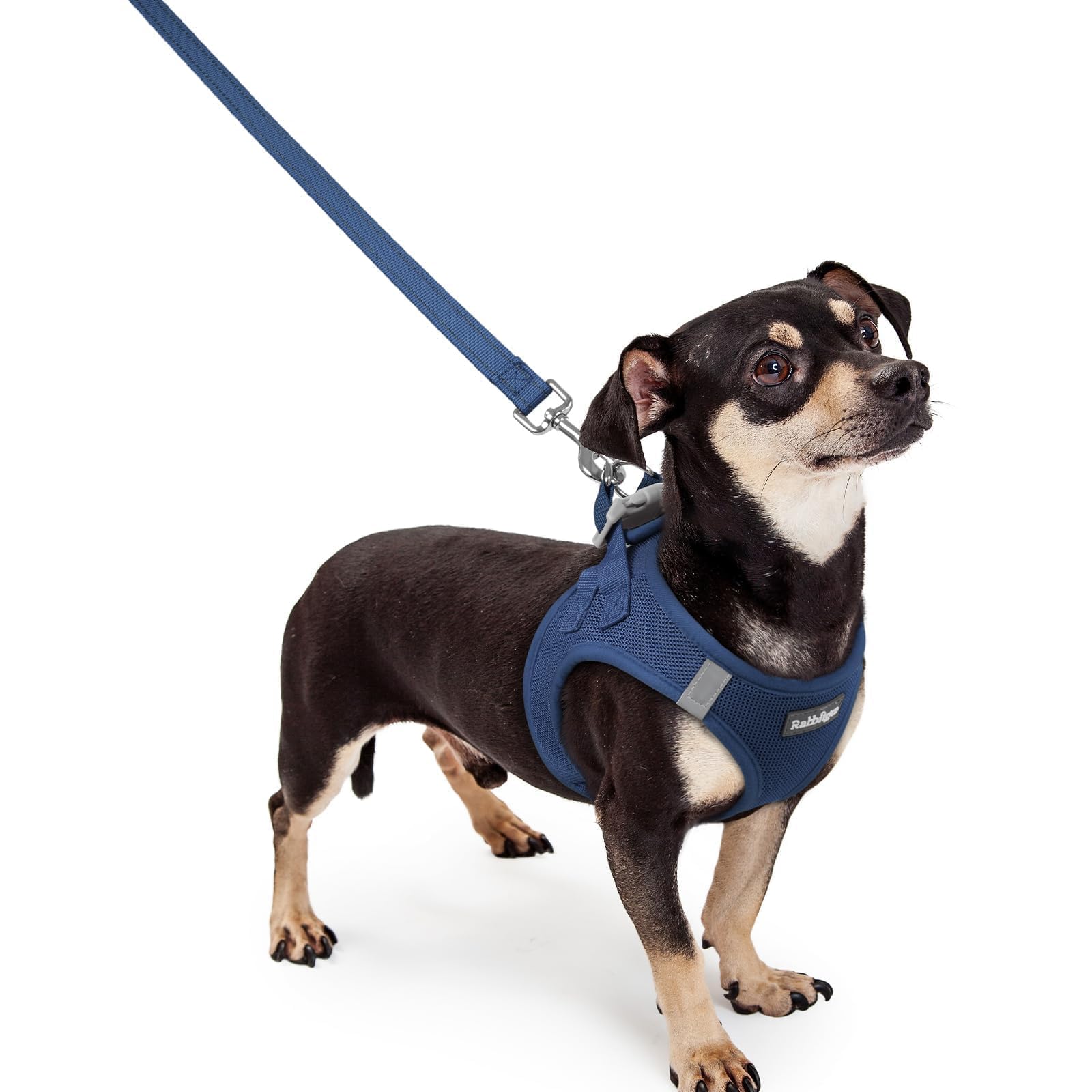 rabbitgoo Reflective Mesh Dog Harness & Leash Set