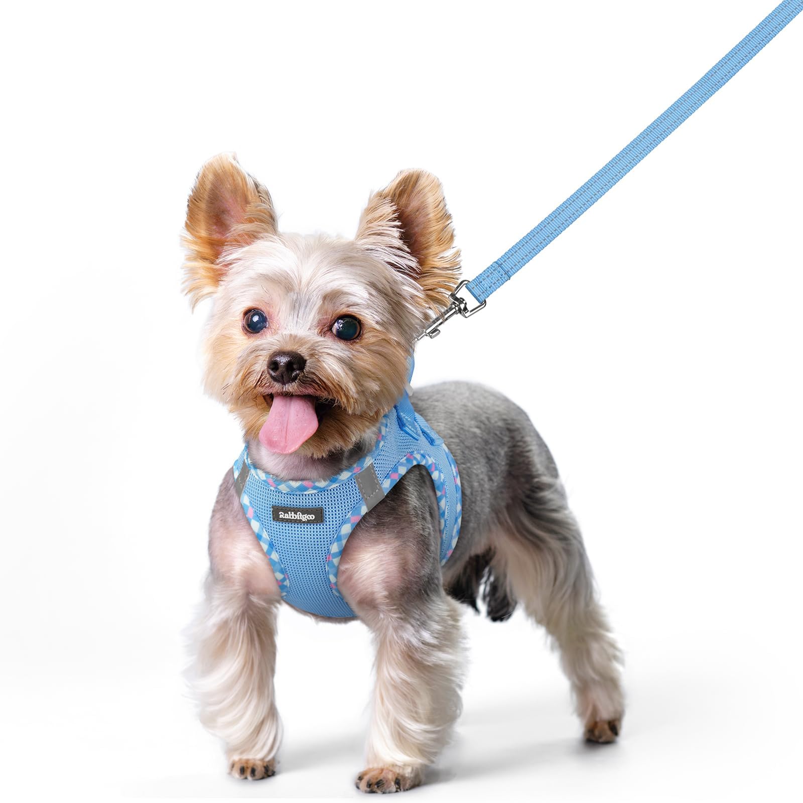 rabbitgoo Reflective Mesh Dog Harness & Leash Set