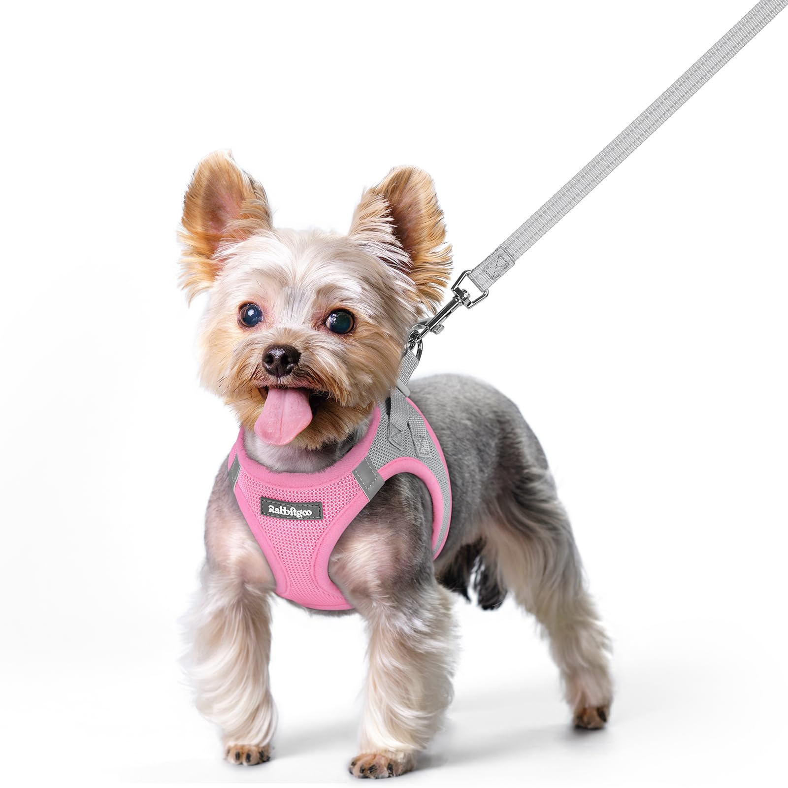 rabbitgoo Reflective Mesh Dog Harness & Leash Set