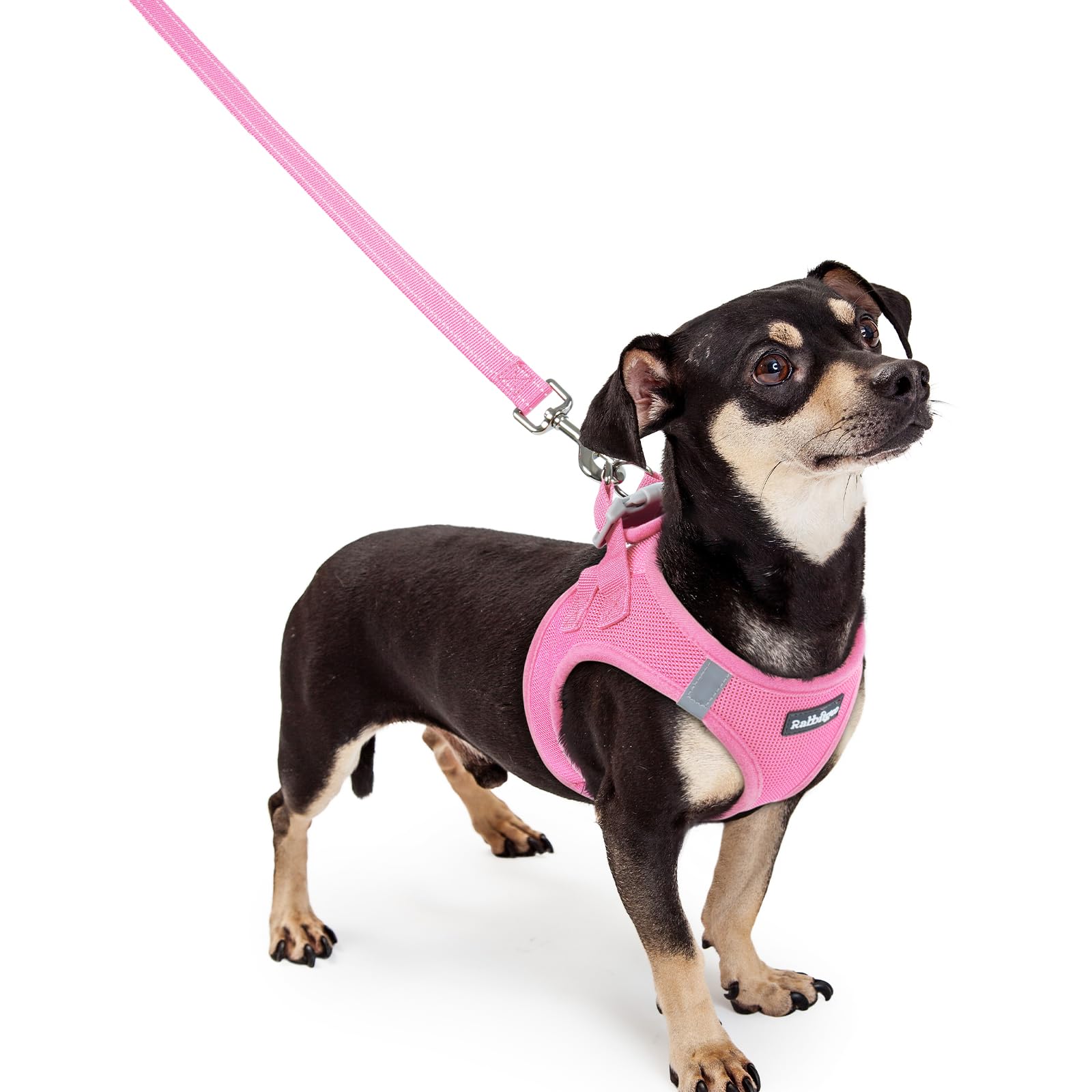 rabbitgoo Reflective Mesh Dog Harness & Leash Set