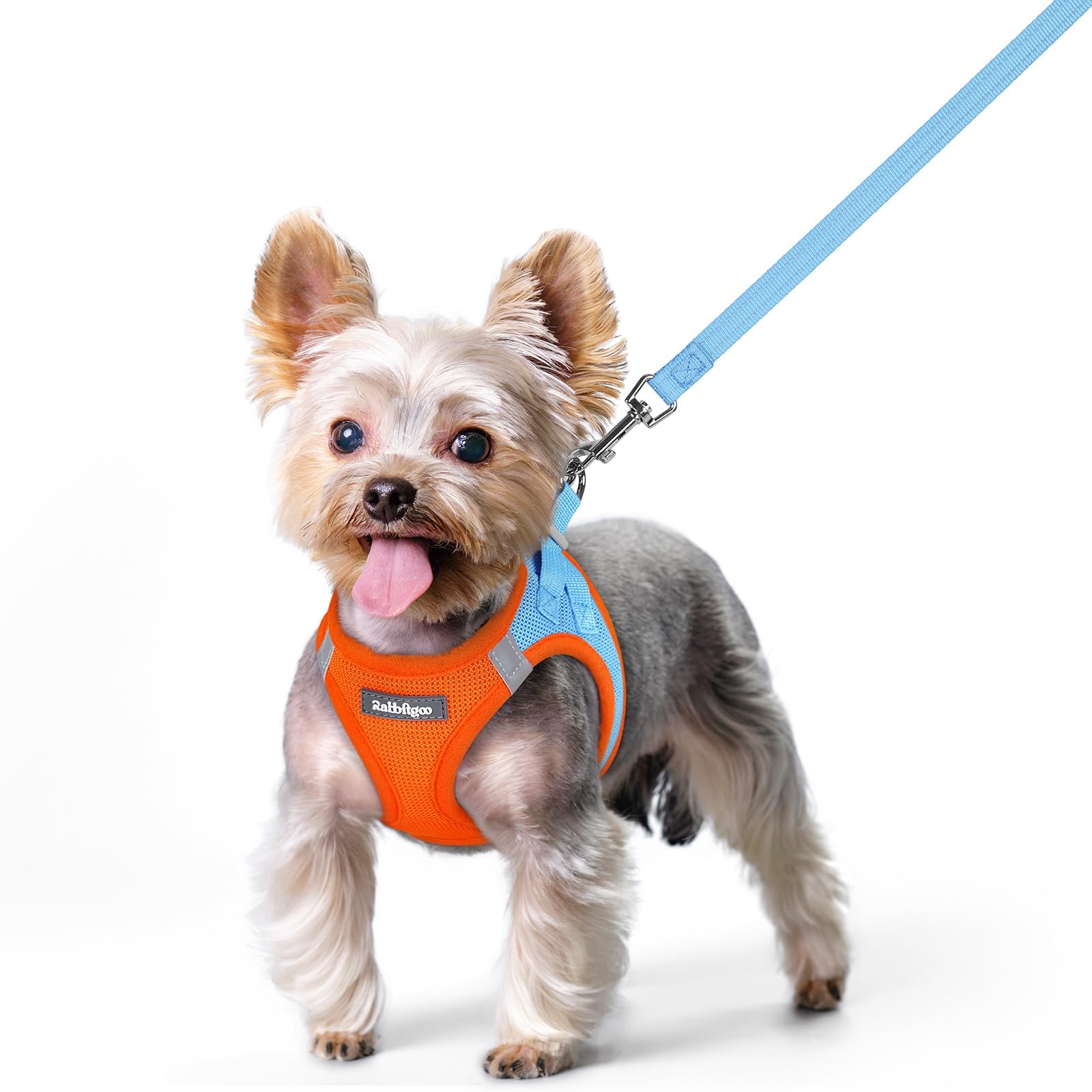 rabbitgoo Reflective Mesh Dog Harness & Leash Set