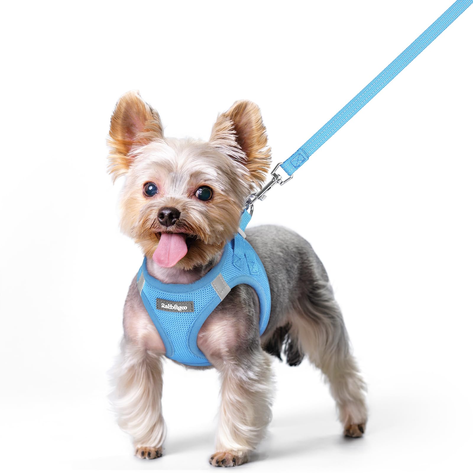 rabbitgoo Reflective Mesh Dog Harness & Leash Set