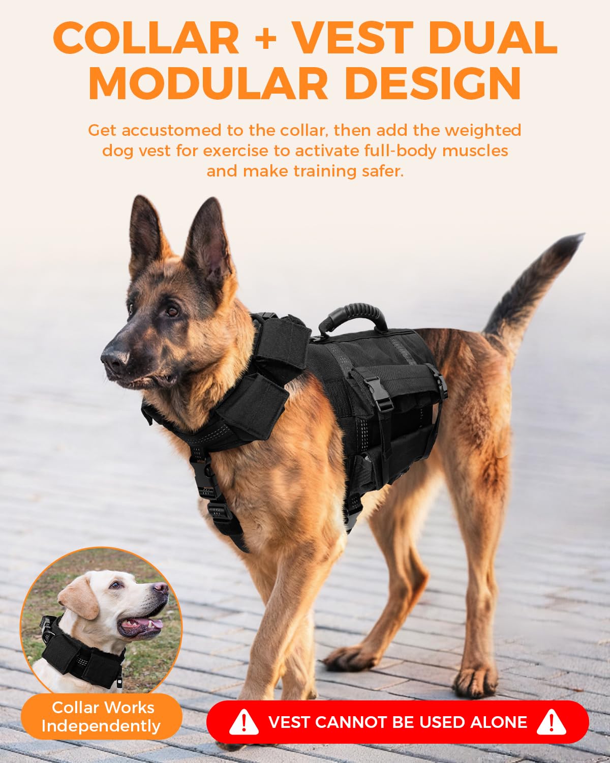 LISPOO Weighted Dog Vest & Collar Set with Removable Weights