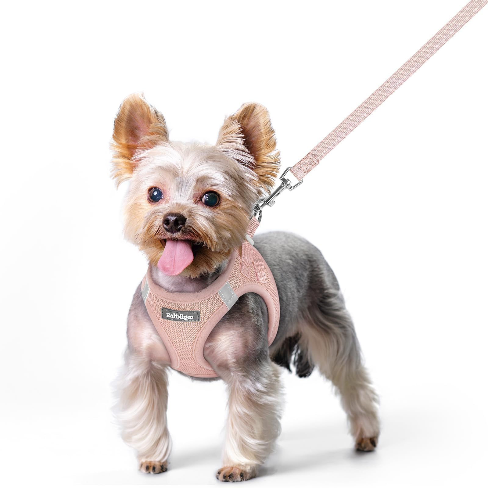 rabbitgoo Reflective Mesh Dog Harness & Leash Set