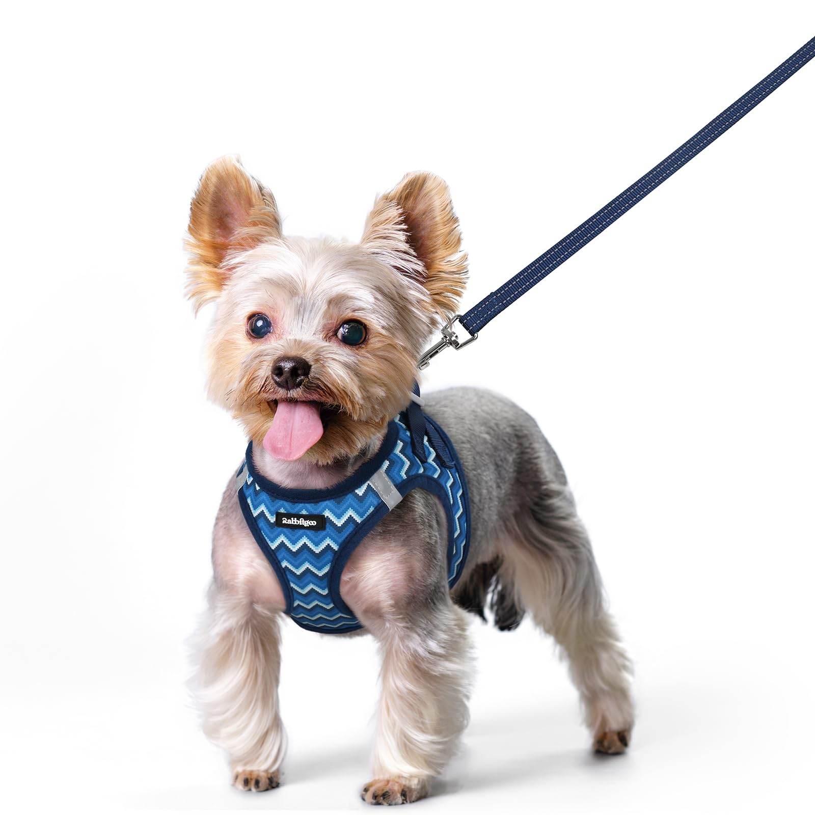 rabbitgoo Reflective Mesh Dog Harness & Leash Set