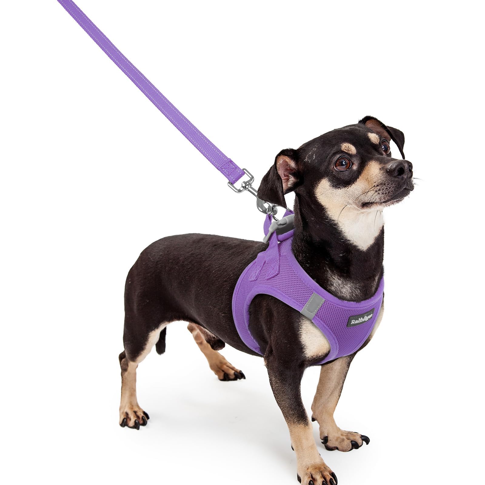 rabbitgoo Reflective Mesh Dog Harness & Leash Set