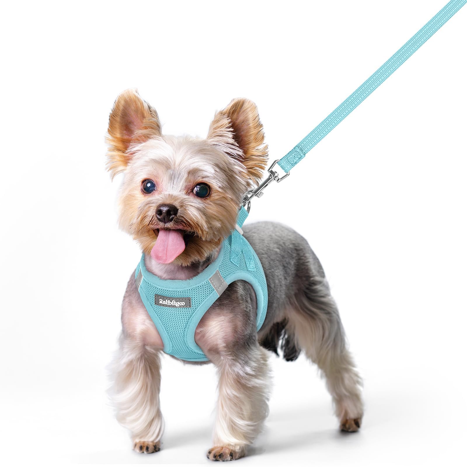 rabbitgoo Reflective Mesh Dog Harness & Leash Set