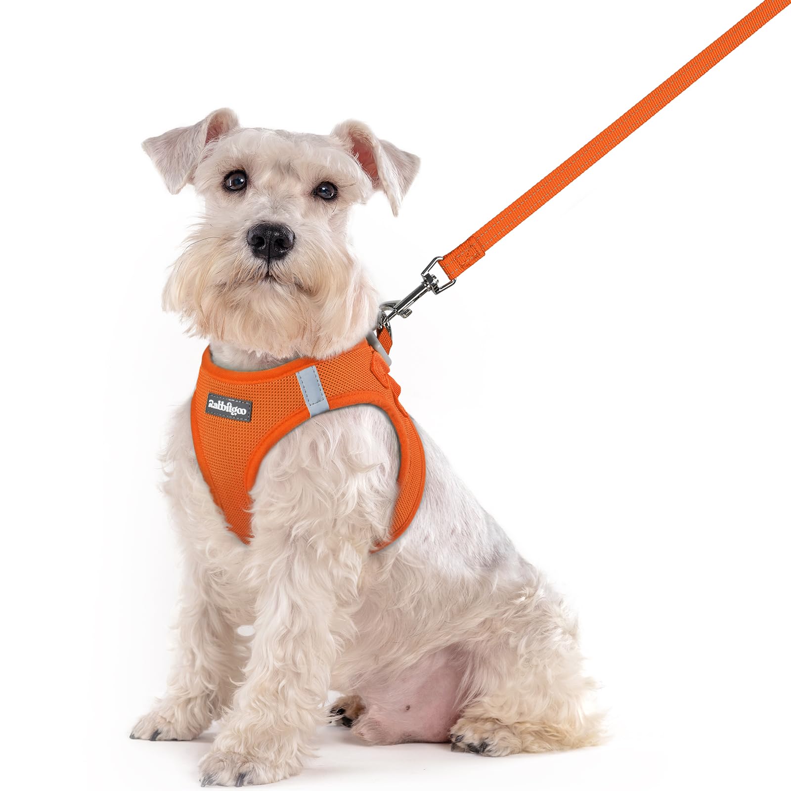 rabbitgoo Reflective Mesh Dog Harness & Leash Set