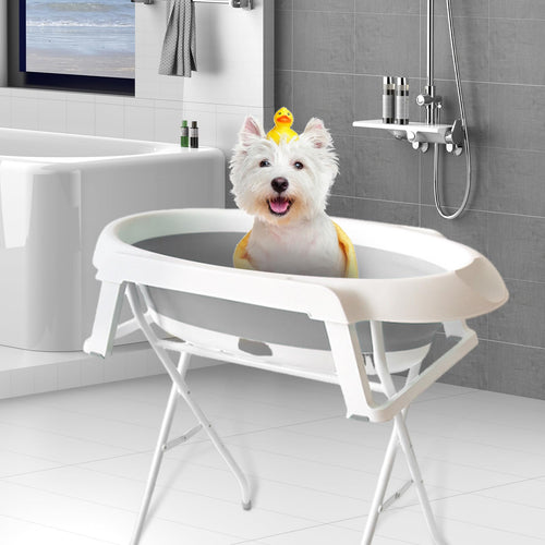 2-in-1 Foldable Elevated Dog Bathtub & Grooming Station