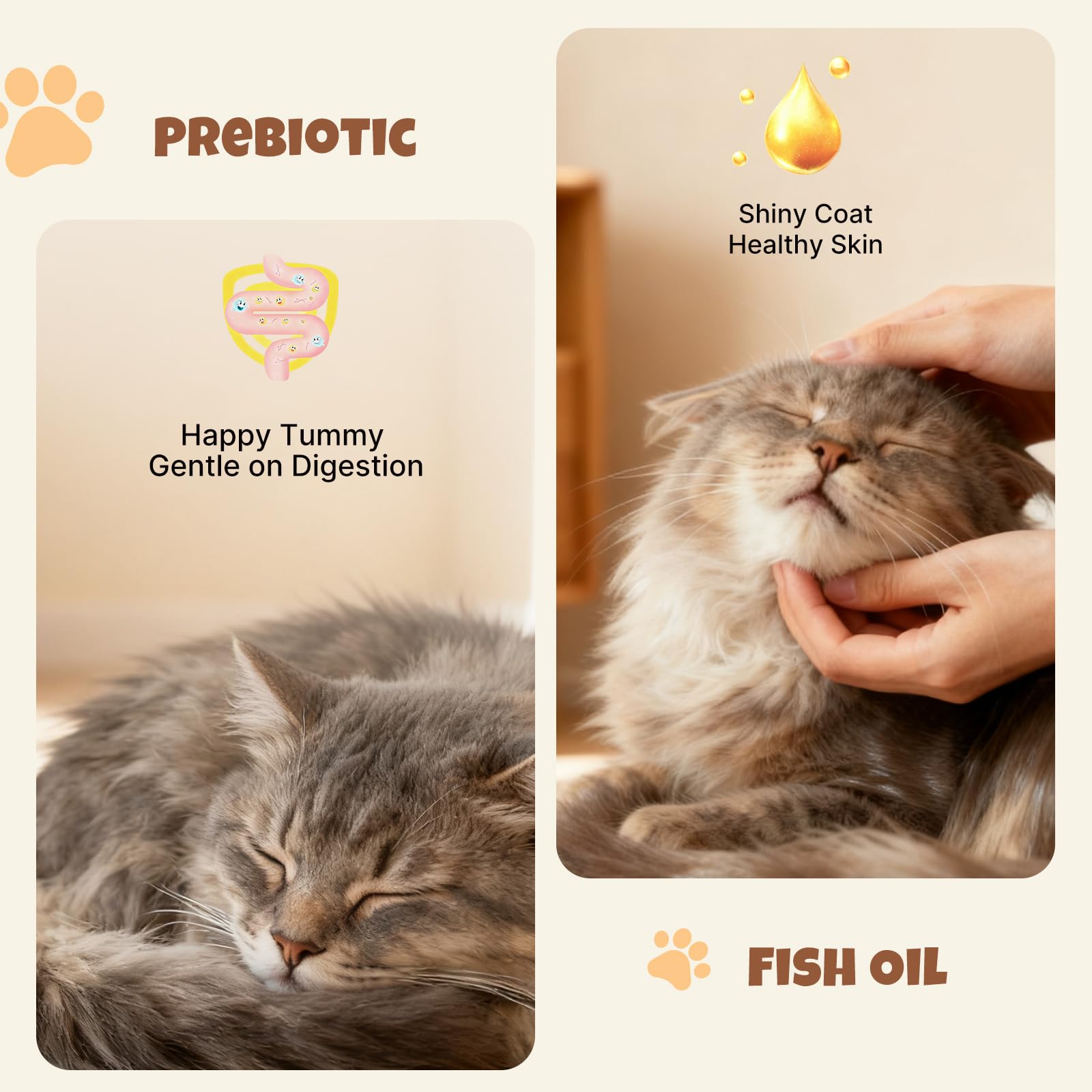 Mpets Healthy Cat Treats for Training & Daily Rewards