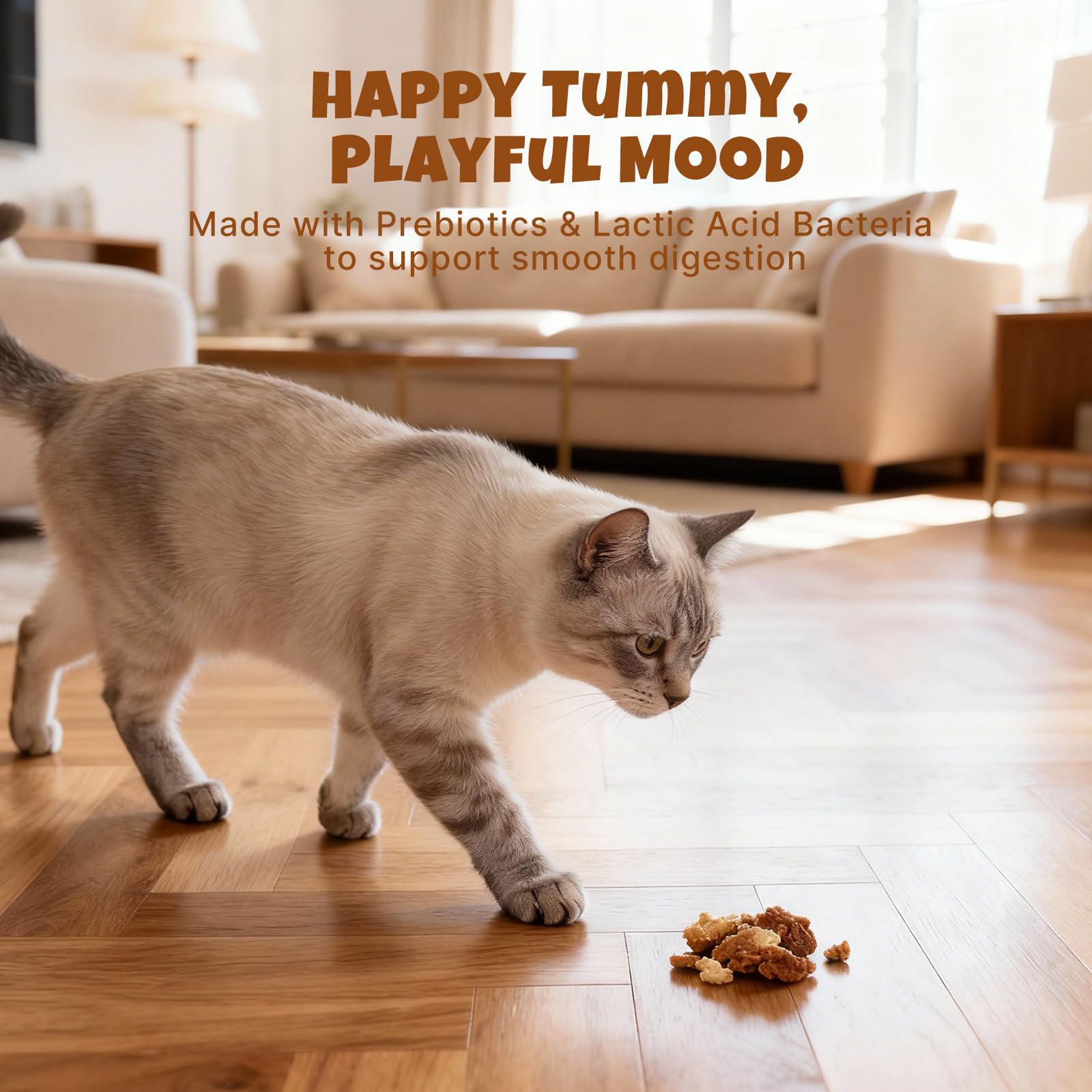 Havira Healthy Cat Treats for Daily Training Rewards
