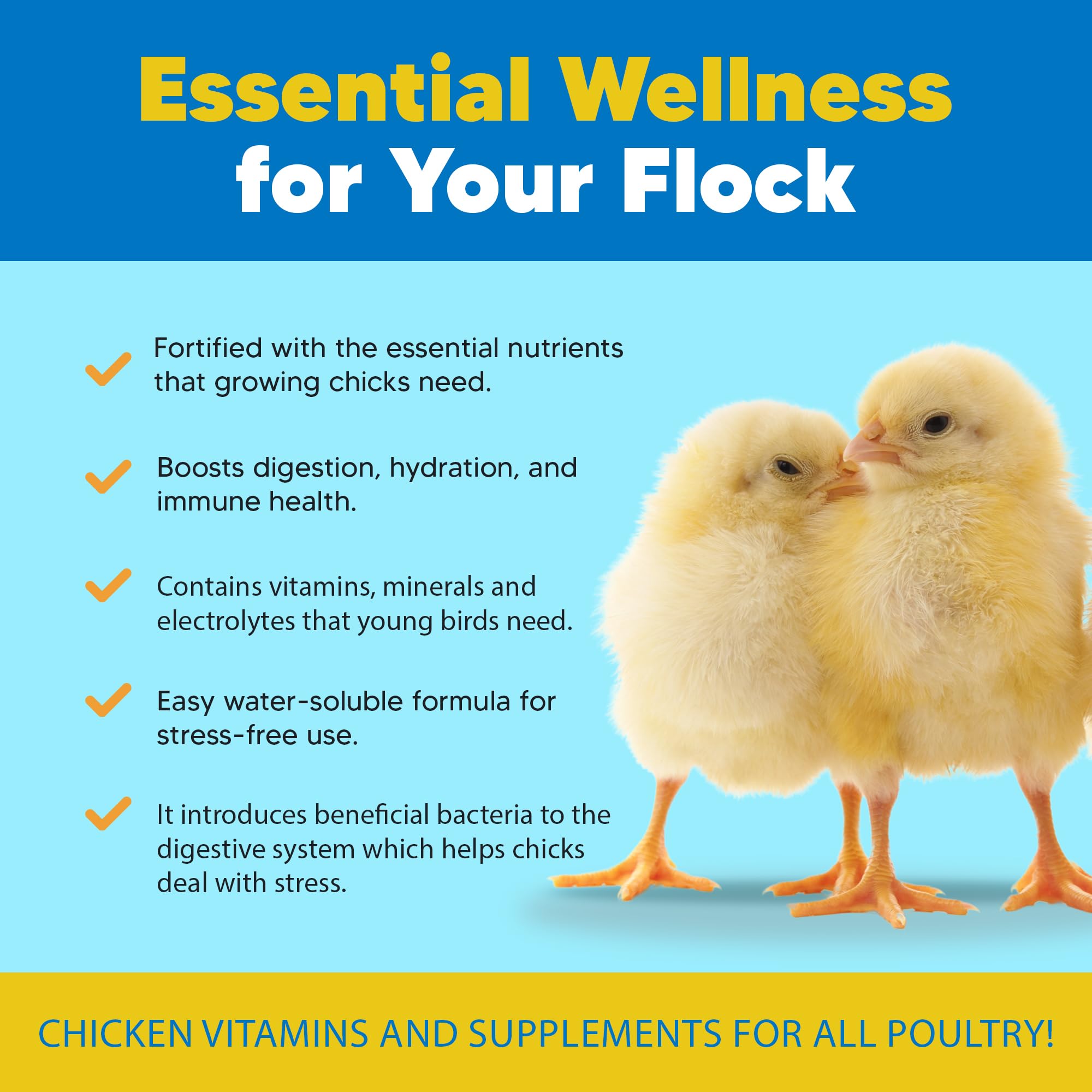 Equerry's Flock PRO Probiotic Supplement for Poultry