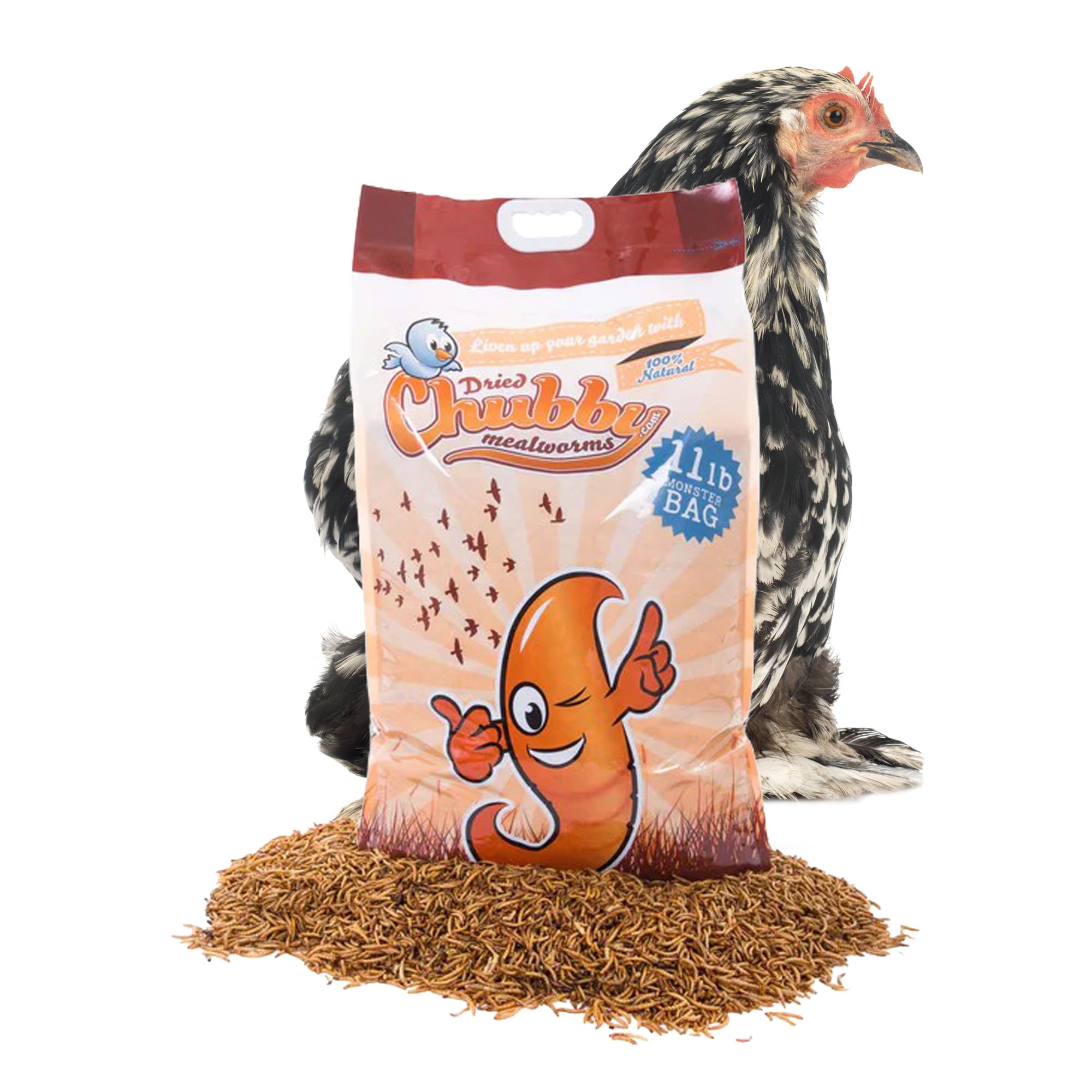 Chubby High-Protein Dried Mealworms for Birds & Poultry