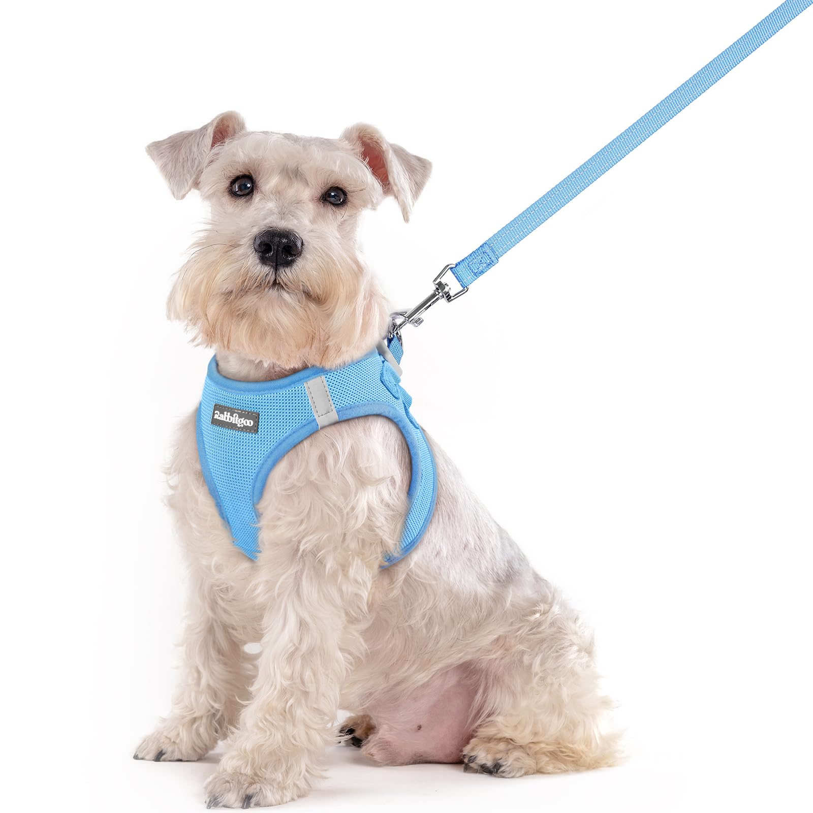 rabbitgoo Reflective Mesh Dog Harness & Leash Set