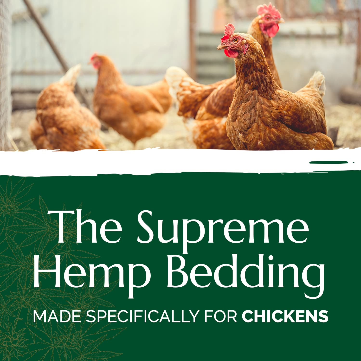 AubiChick French Hemp Chicken Coop Bedding, 44 lb 2-Pack