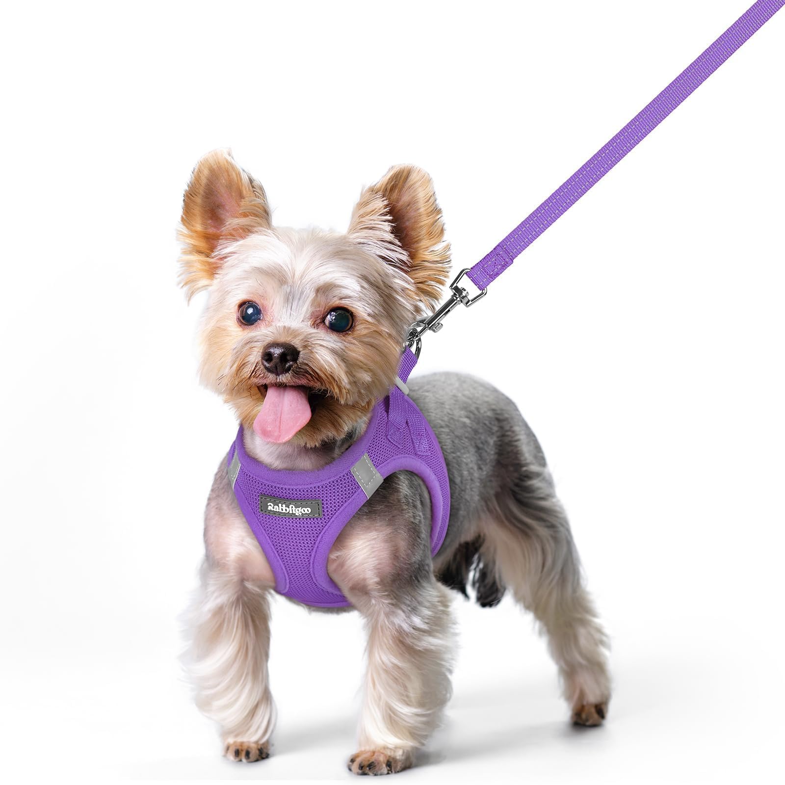 rabbitgoo Reflective Mesh Dog Harness & Leash Set