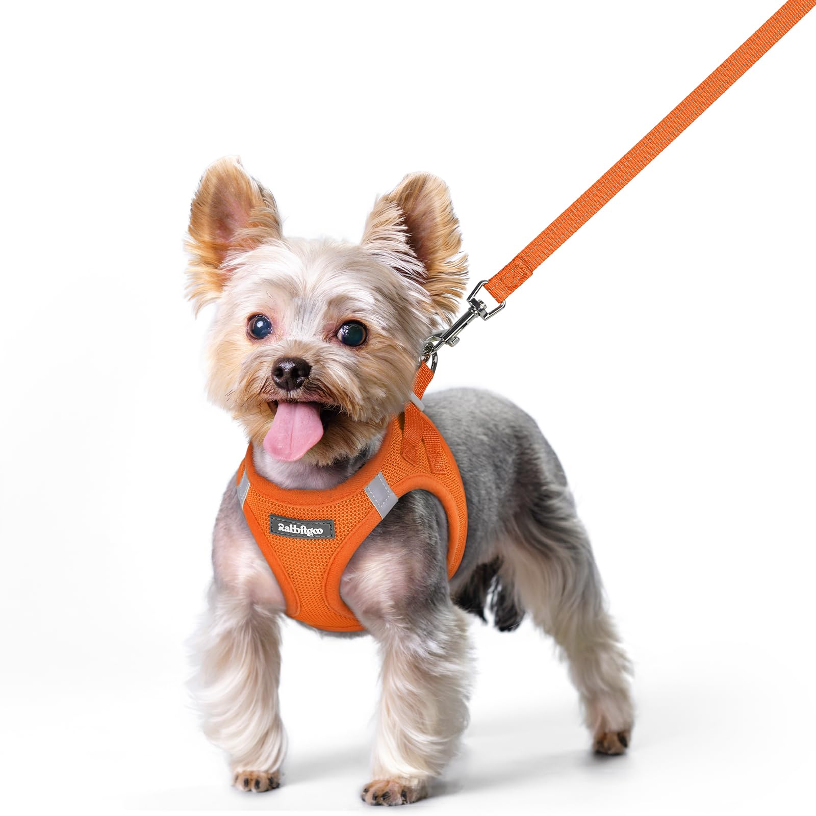 rabbitgoo Reflective Mesh Dog Harness & Leash Set