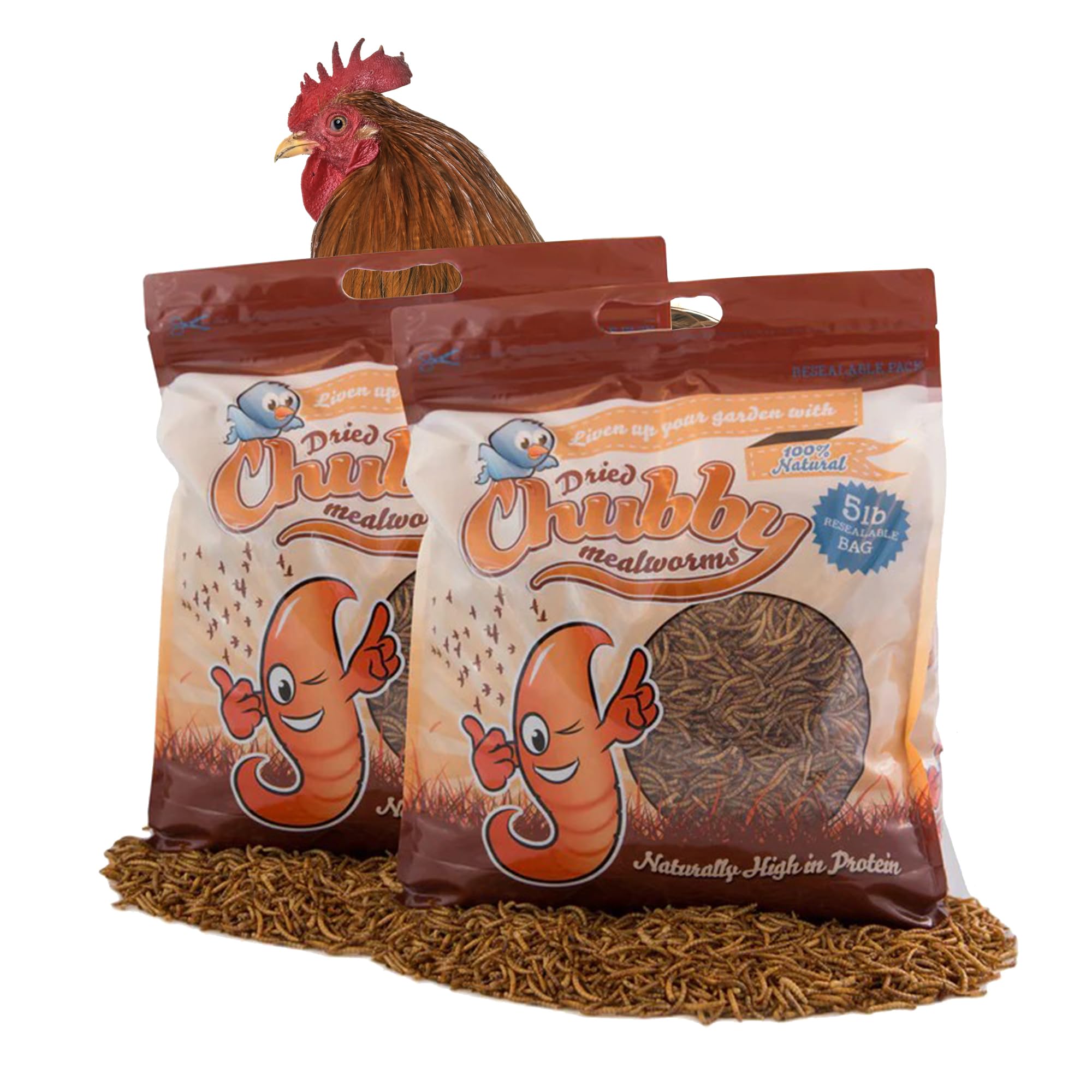 Chubby High-Protein Dried Mealworms for Birds & Poultry