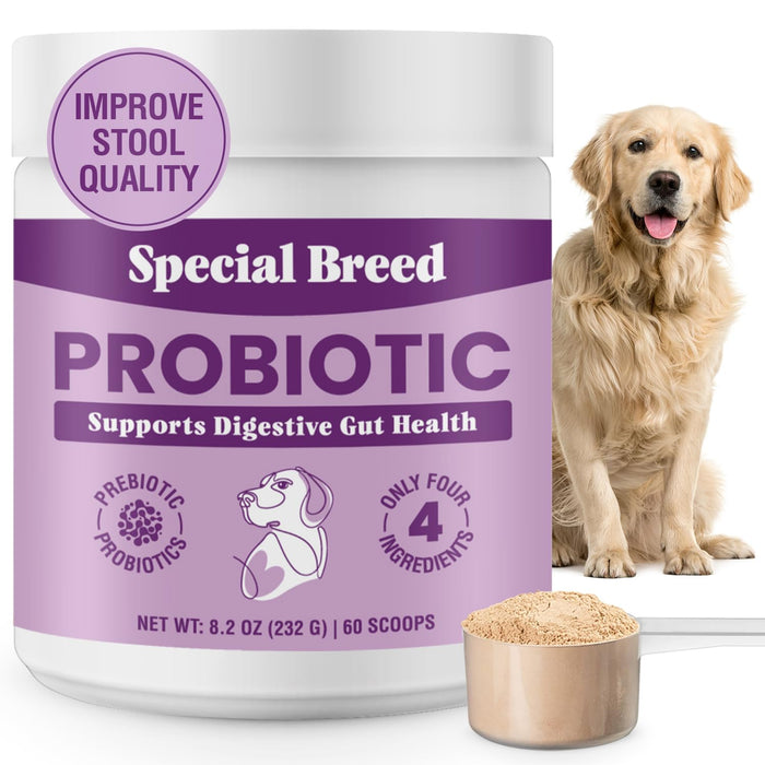 Special Breed Probiotic & Bone Broth Powder for Dogs
