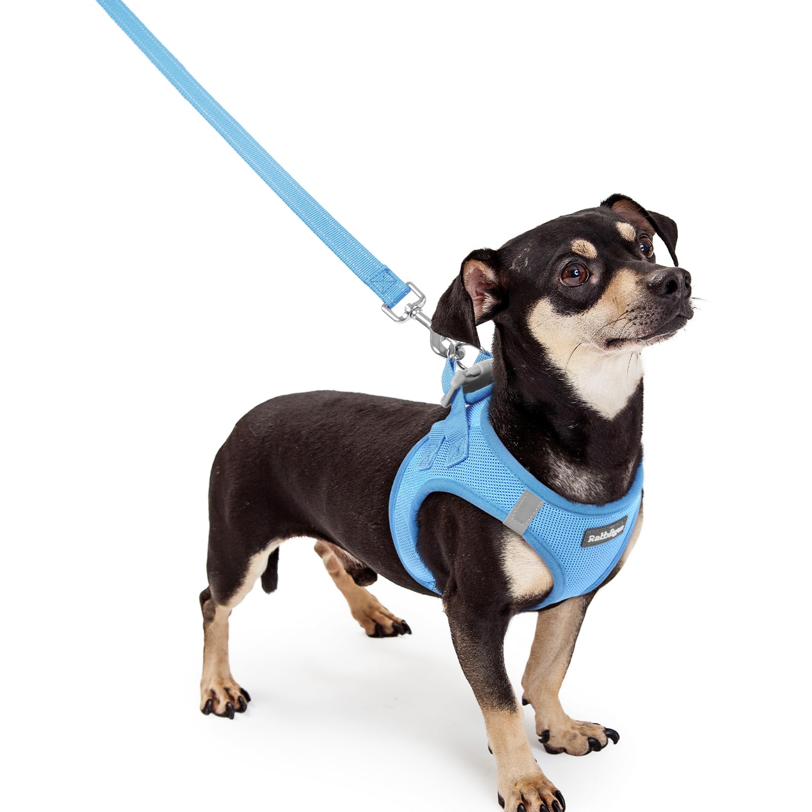 rabbitgoo Reflective Mesh Dog Harness & Leash Set