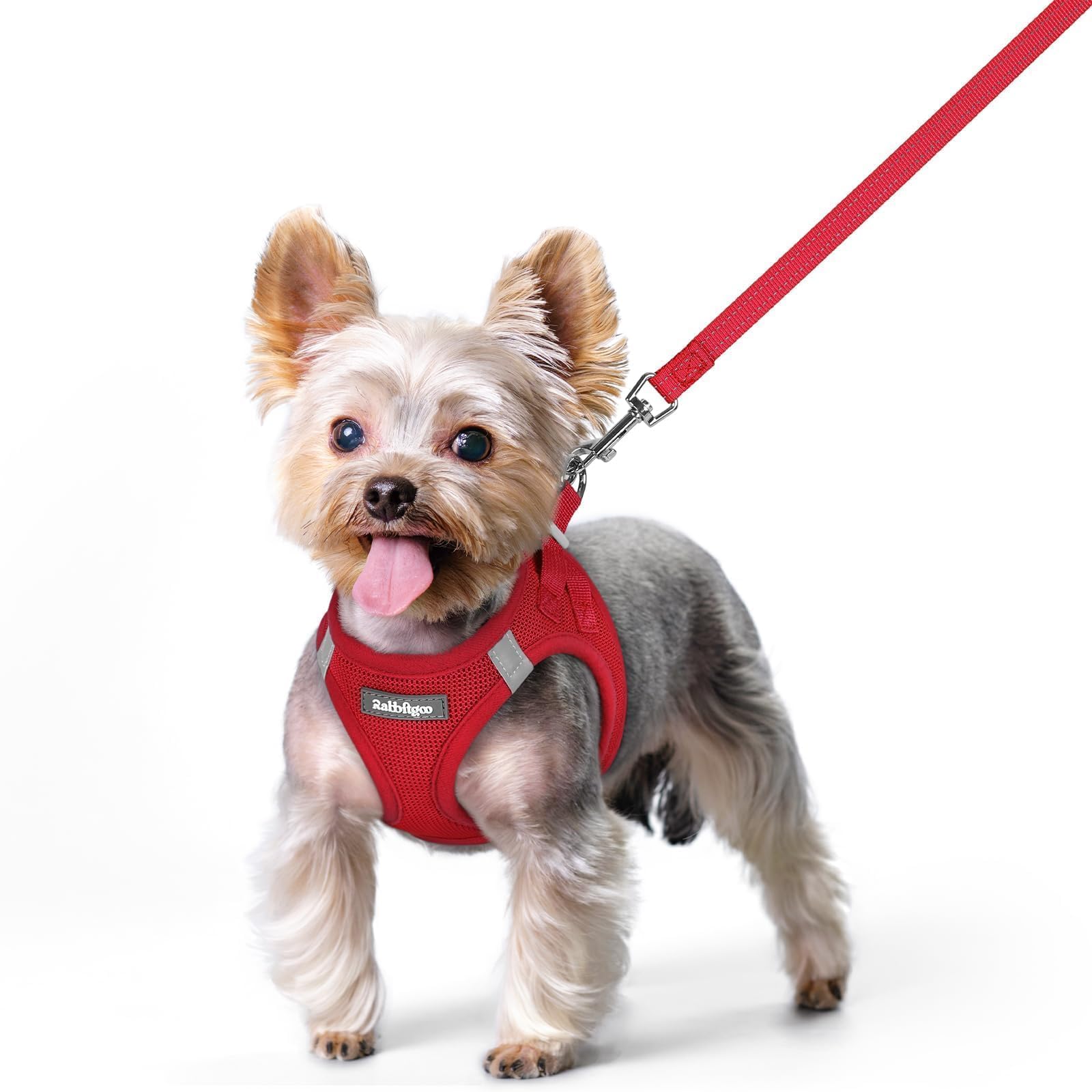 rabbitgoo Reflective Mesh Dog Harness & Leash Set