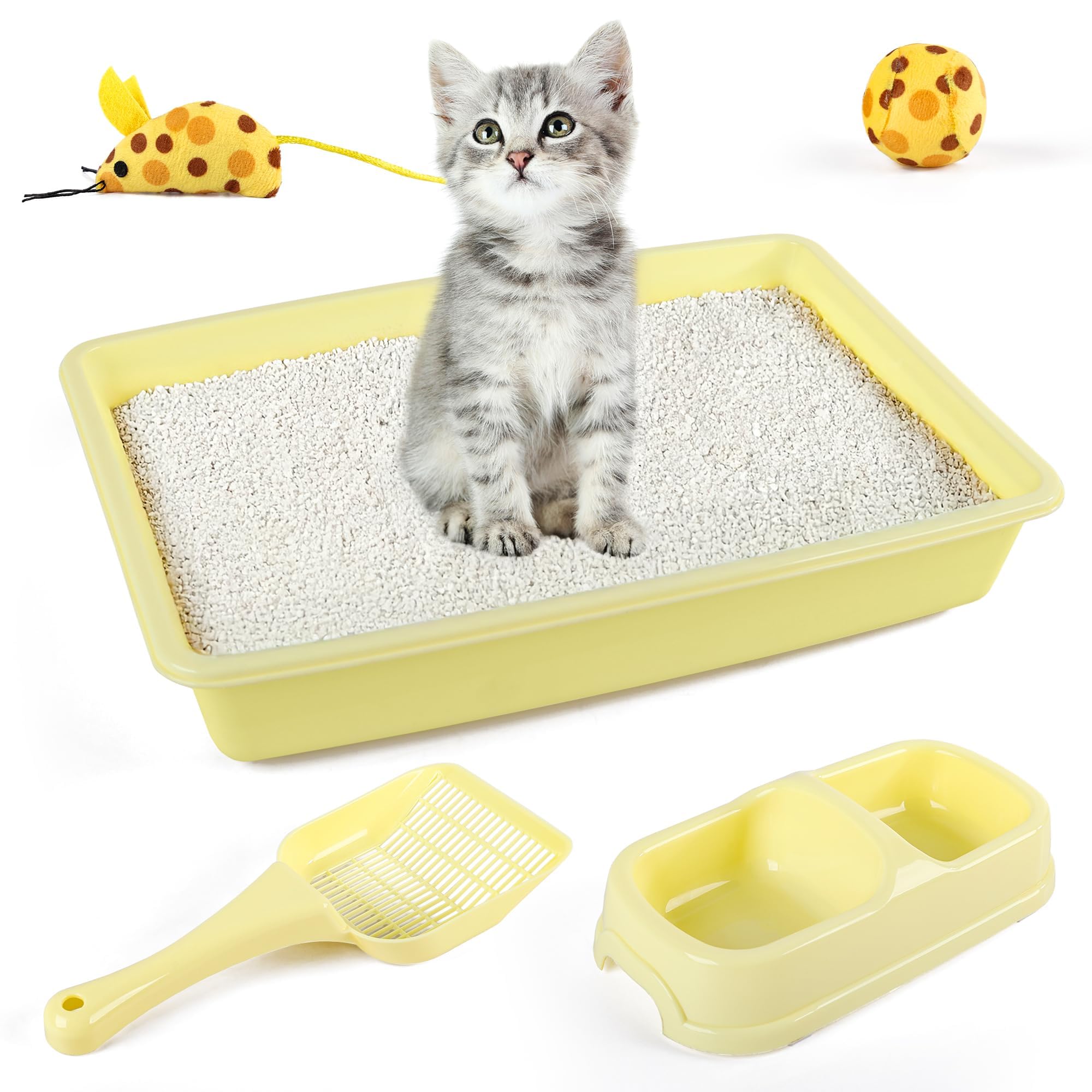 PAWISE Cat Litter Box Starter Kit with Bowl, Scoop & Toys