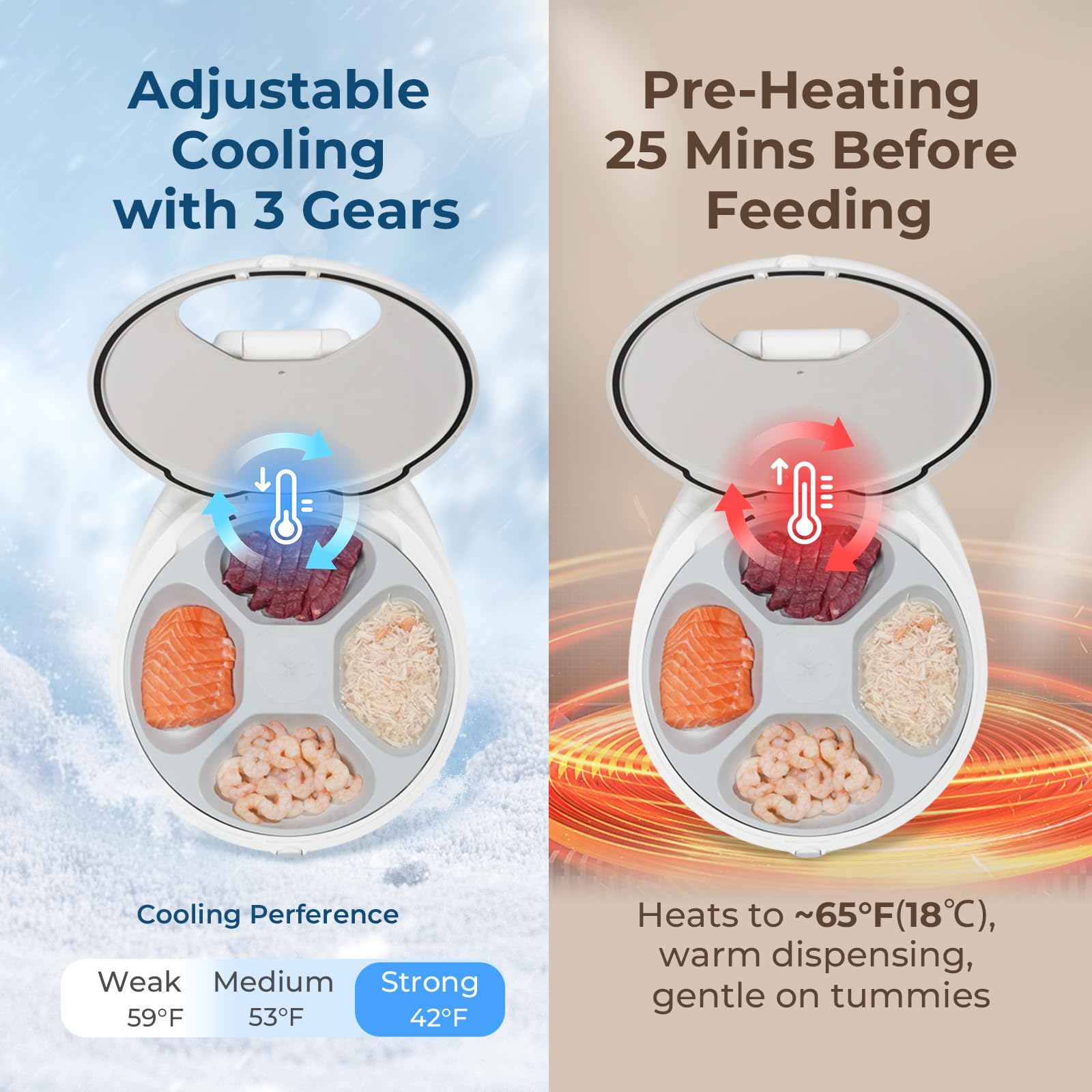 Robotail Automatic Wet Food Feeder for Cats & Kittens