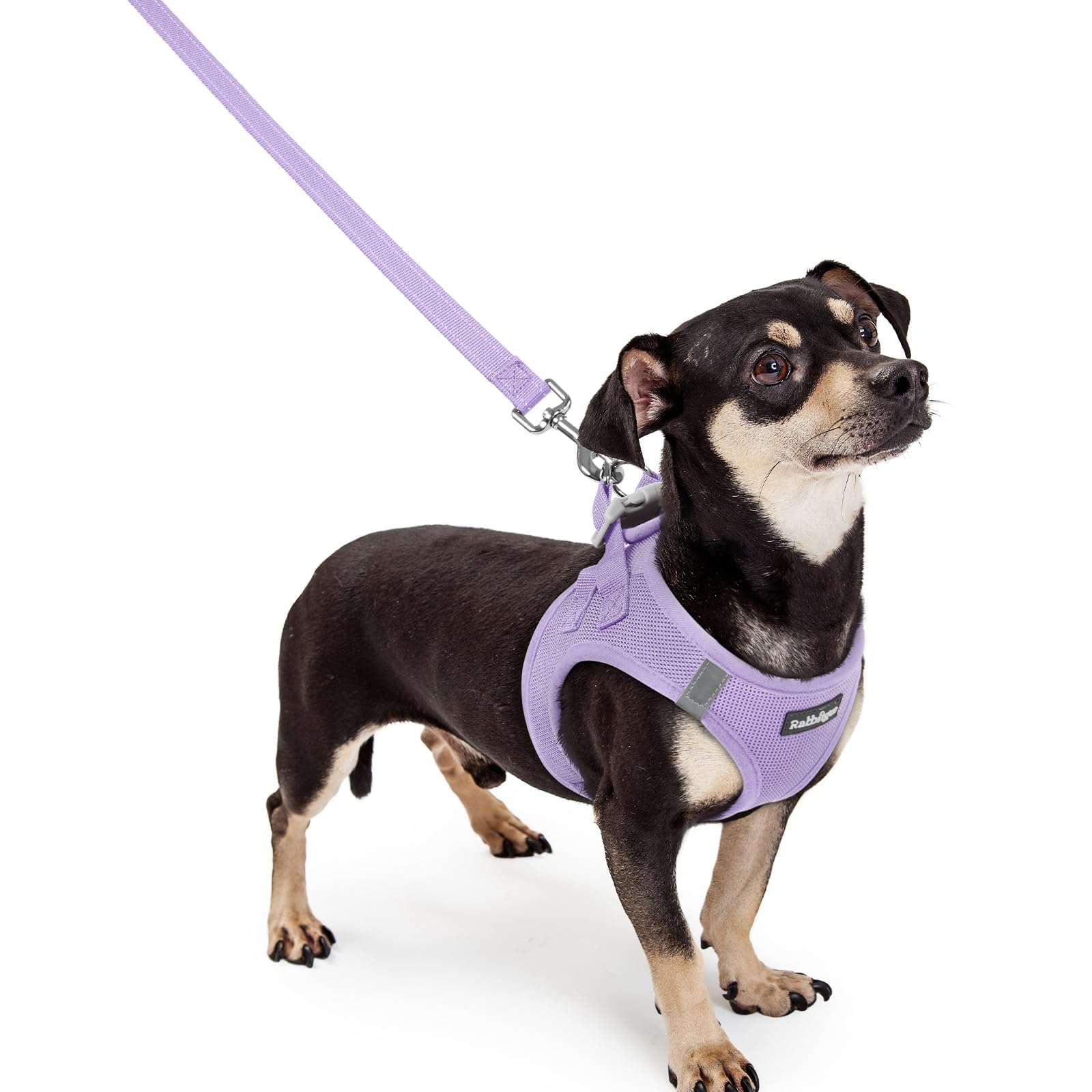 rabbitgoo Reflective Mesh Dog Harness & Leash Set