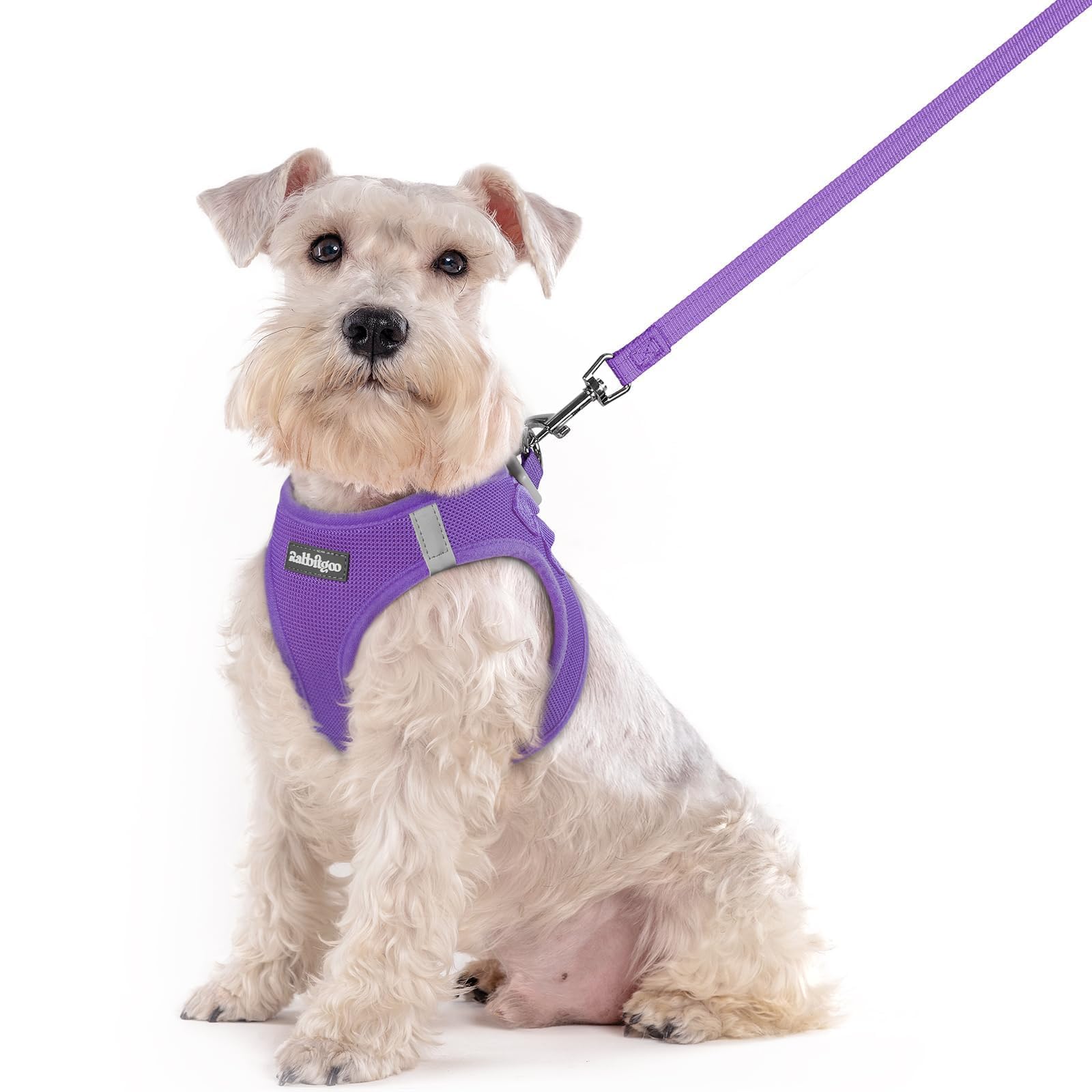 rabbitgoo Reflective Mesh Dog Harness & Leash Set