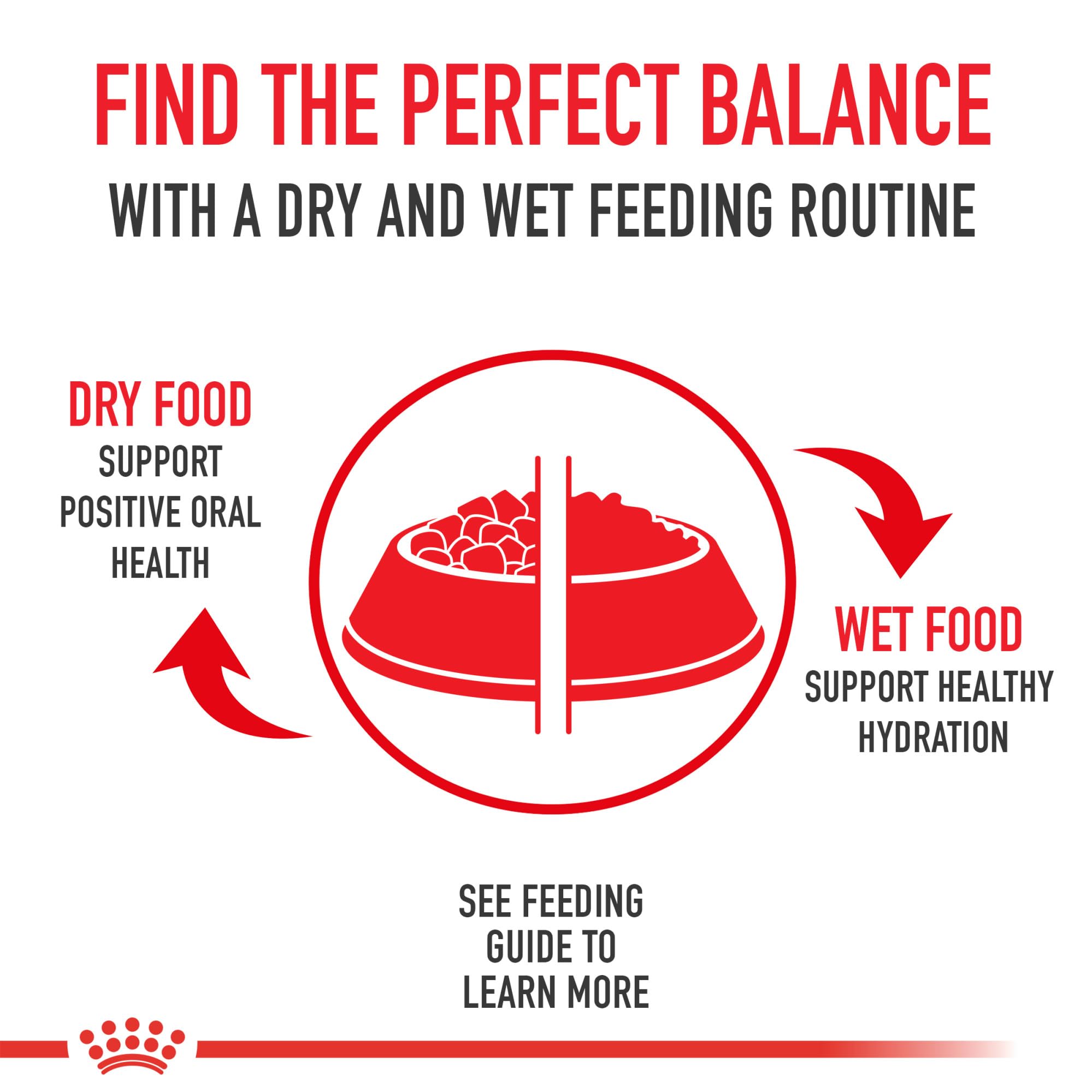 Royal Canin Size Health Large Adult Dry Dog Food