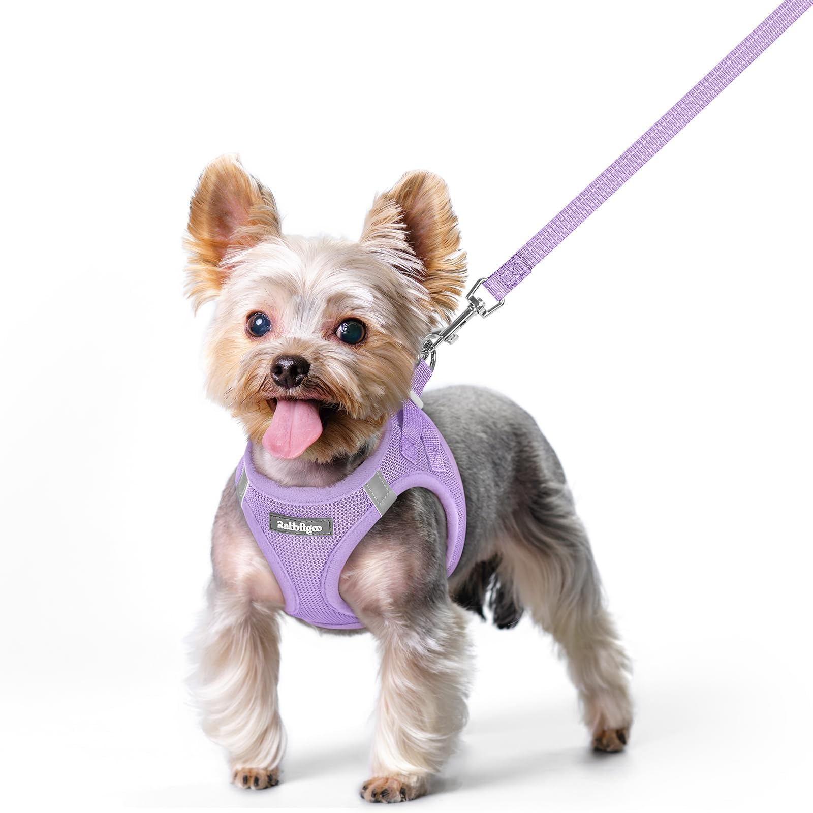 rabbitgoo Reflective Mesh Dog Harness & Leash Set