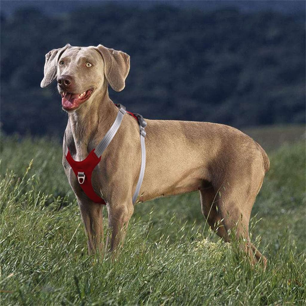 No-Pull Vest Harness for Medium and Large Dogs