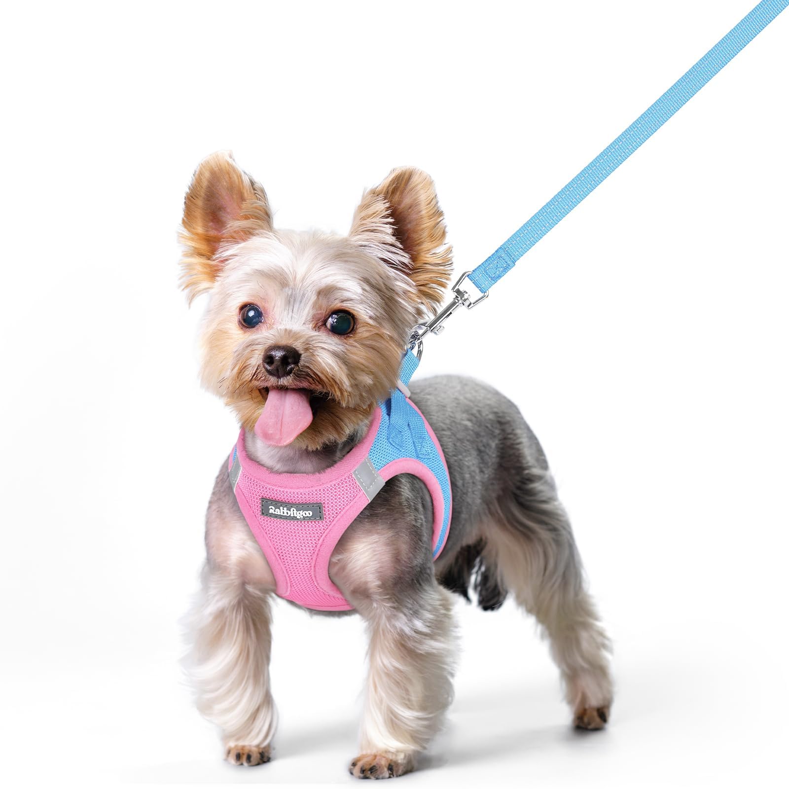 rabbitgoo Reflective Mesh Dog Harness & Leash Set