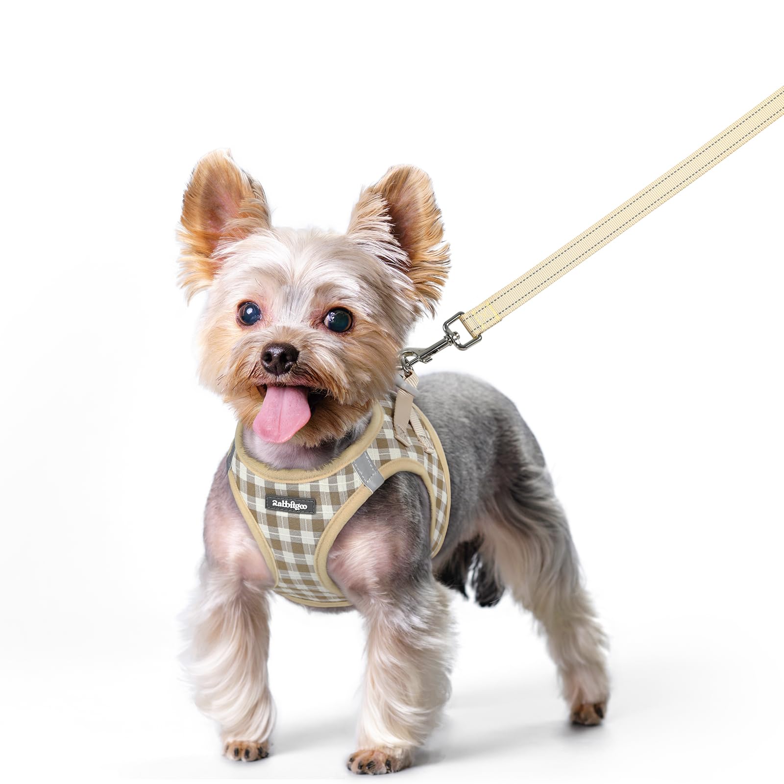 rabbitgoo Reflective Mesh Dog Harness & Leash Set