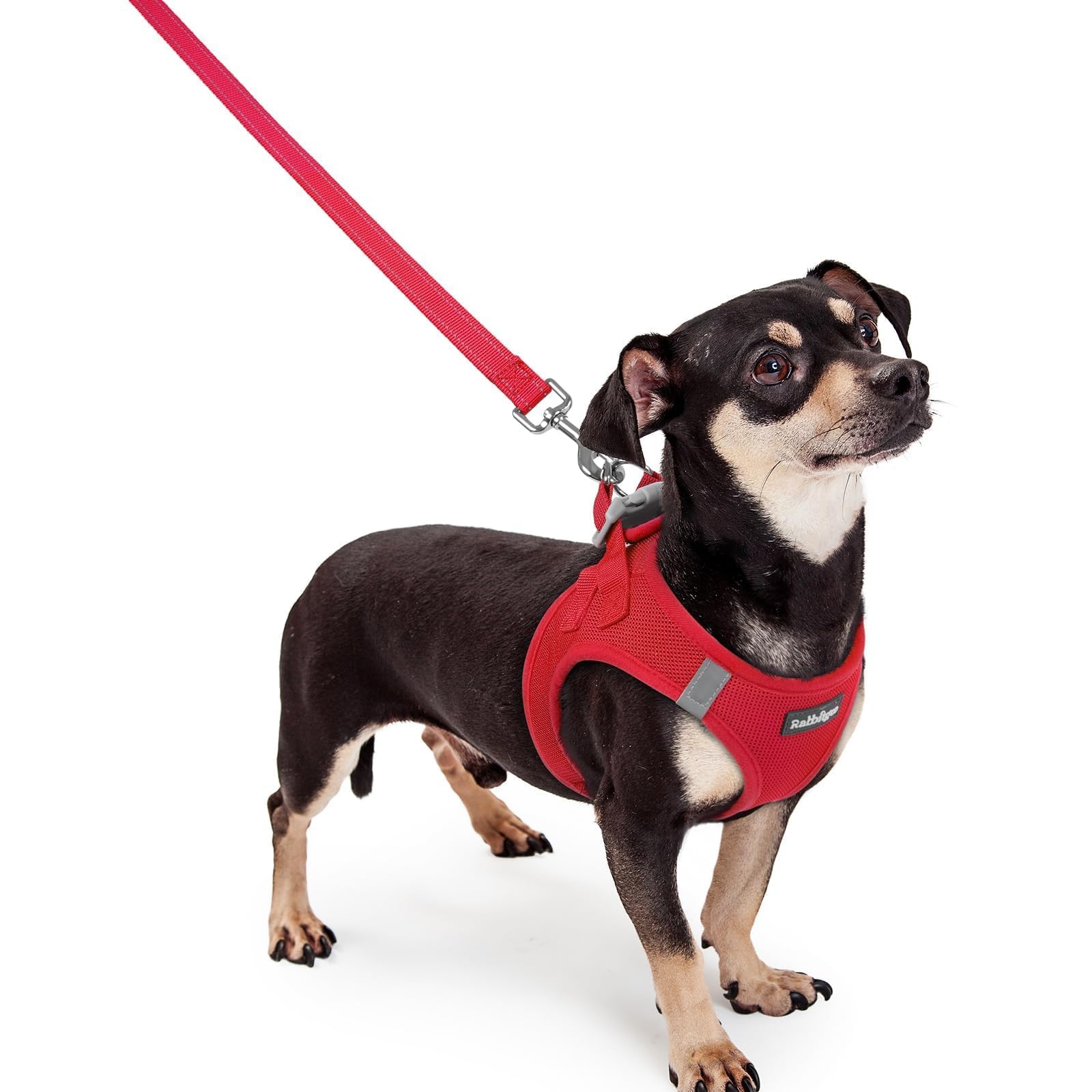 rabbitgoo Reflective Mesh Dog Harness & Leash Set