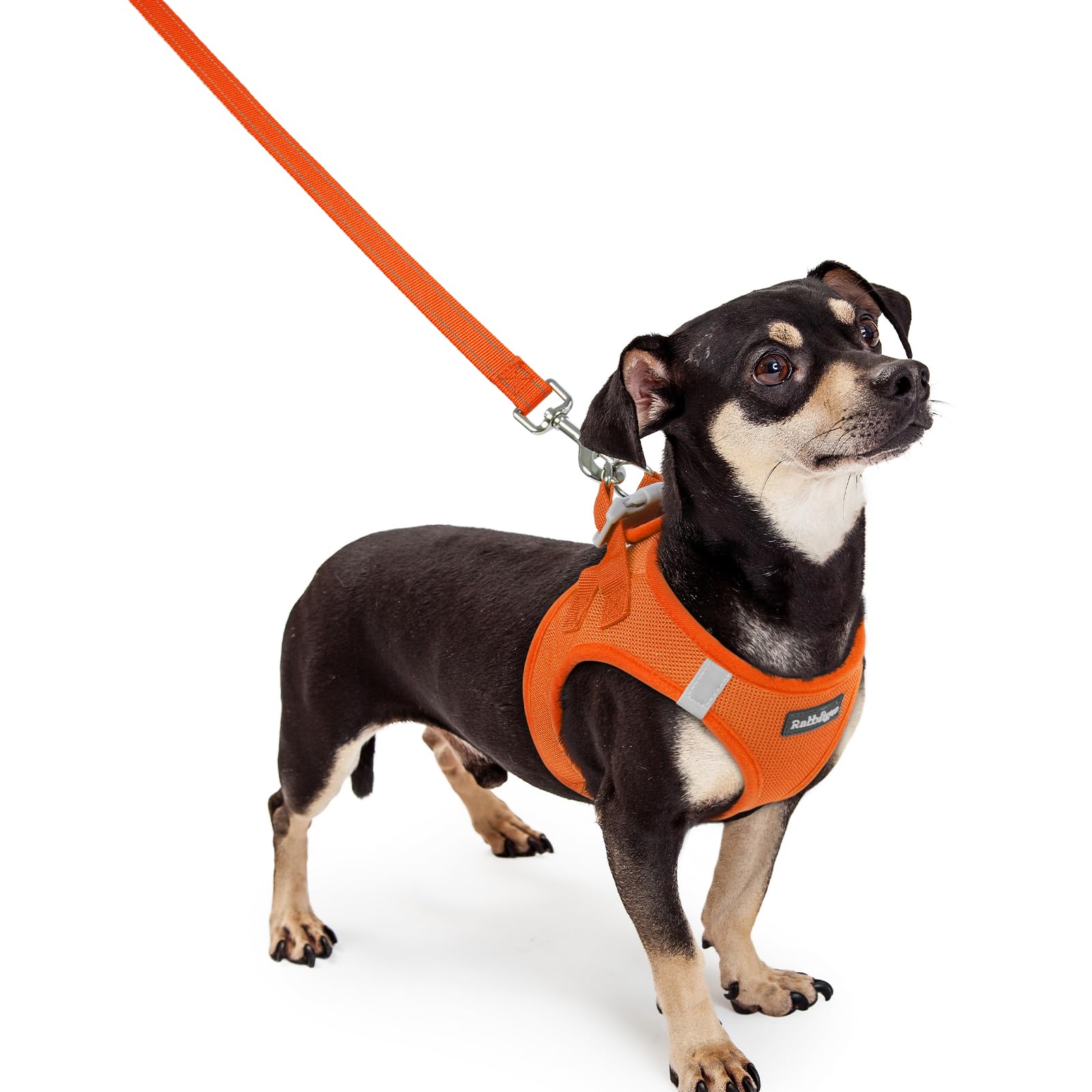 rabbitgoo Reflective Mesh Dog Harness & Leash Set