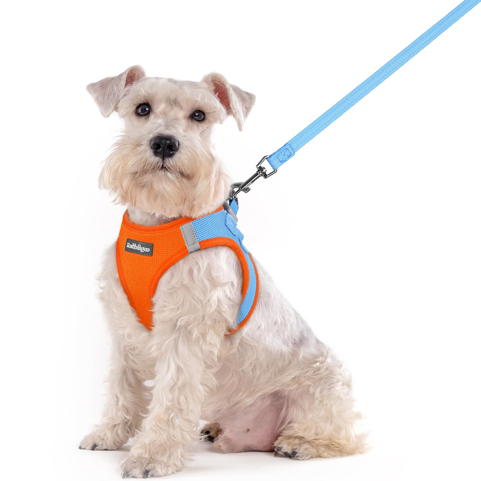 rabbitgoo Reflective Mesh Dog Harness & Leash Set