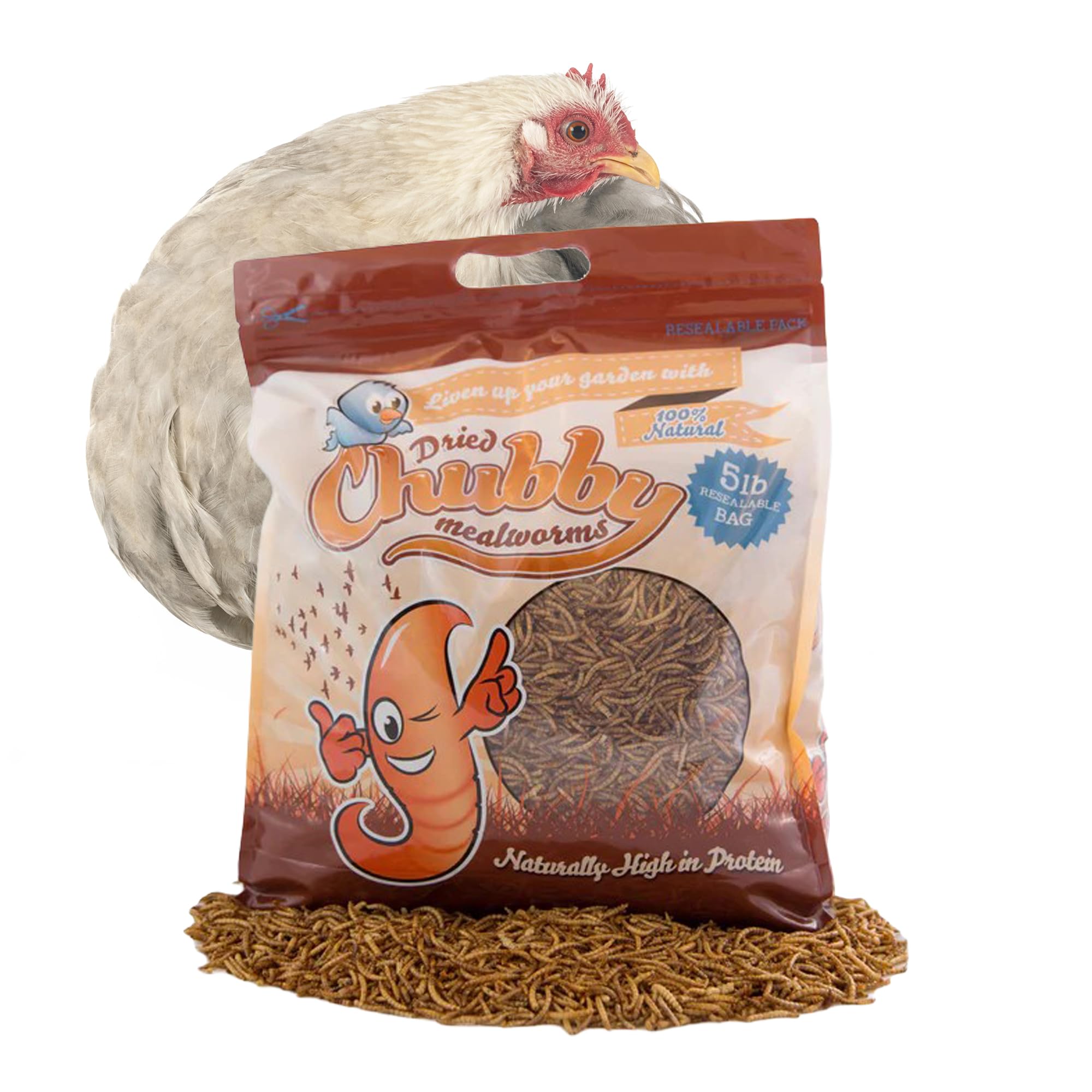 Chubby High-Protein Dried Mealworms for Birds & Poultry