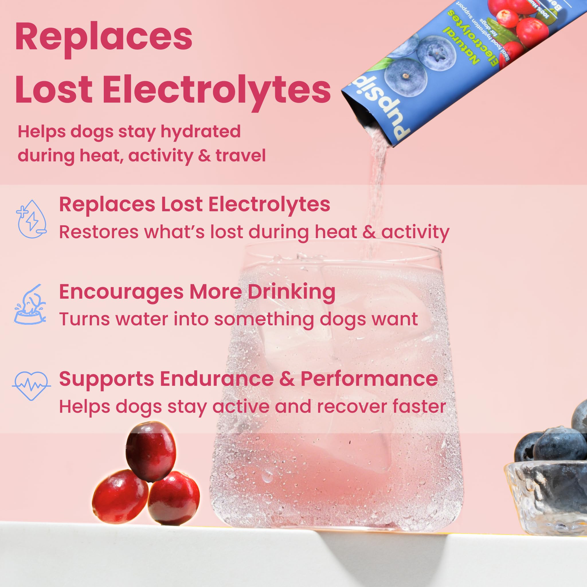 PupSip Dog Electrolyte Hydration Sticks, 12-Pack