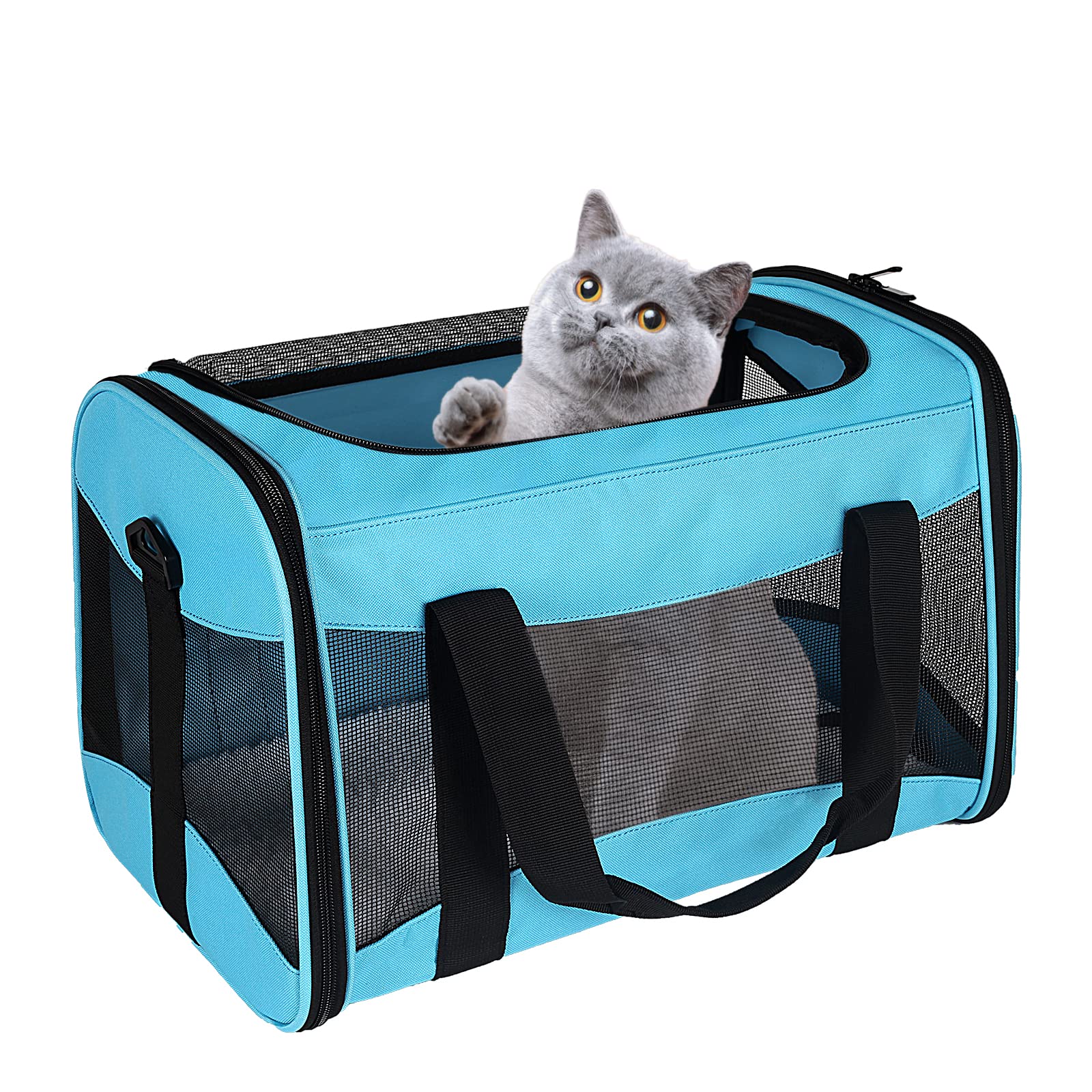 Airline-Approved Breathable Pet Carrier with Fleece Pad