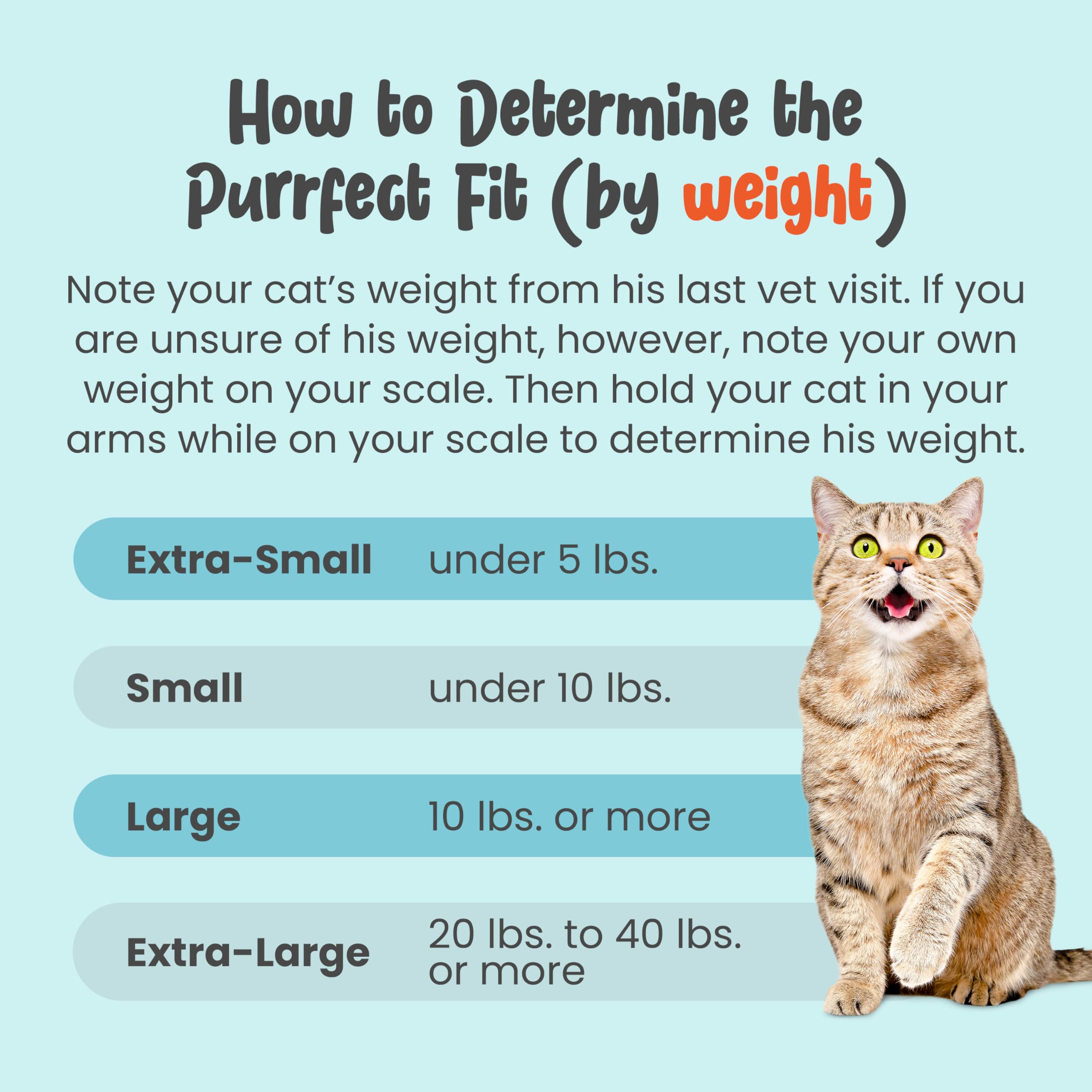 Cat-in-the-Bag Cozy Comfort Cat Carrier for Travel & Care