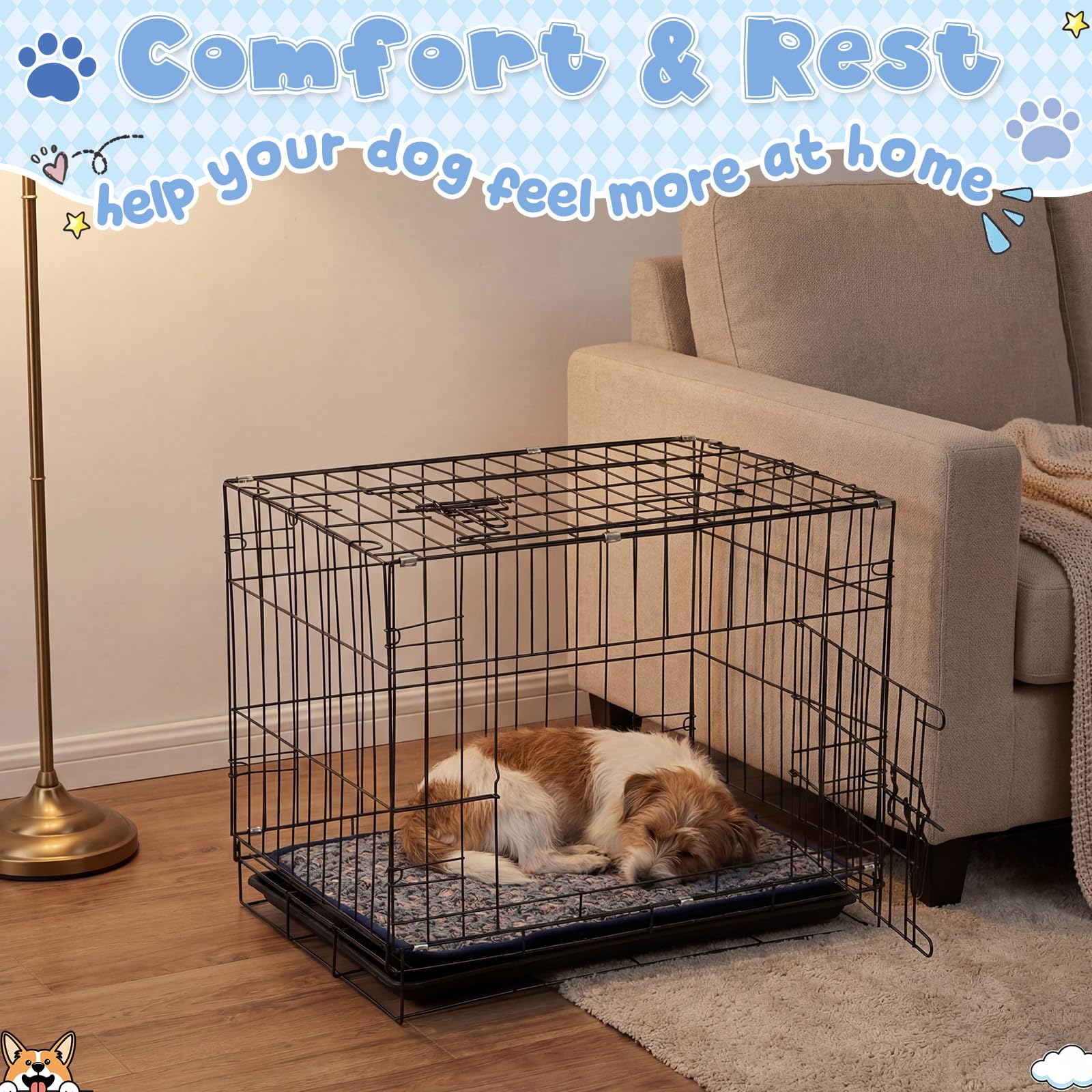 SmoothNovelty 35-Piece Puppy Starter Kit for Small Dogs