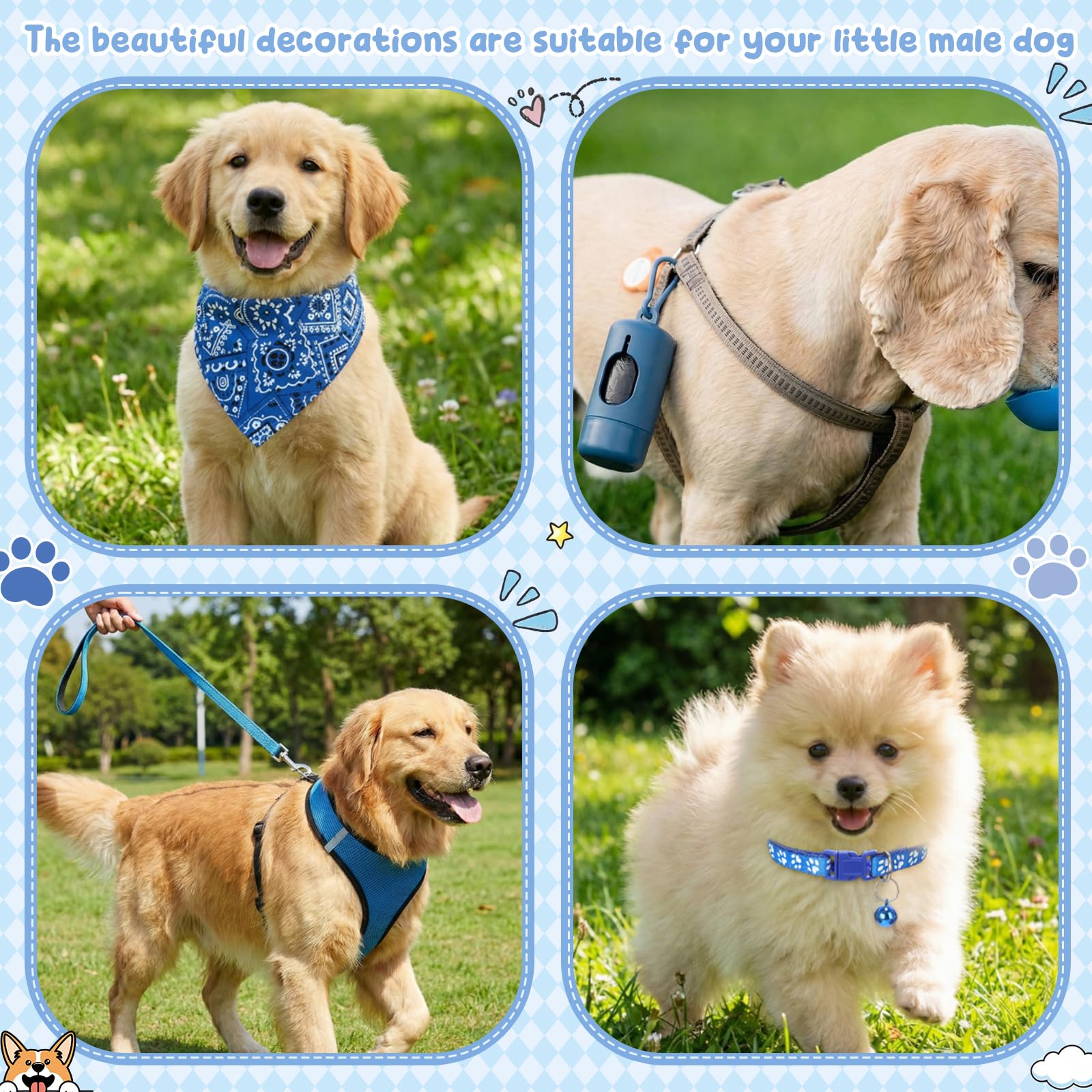 SmoothNovelty 35-Piece Puppy Starter Kit for Small Dogs