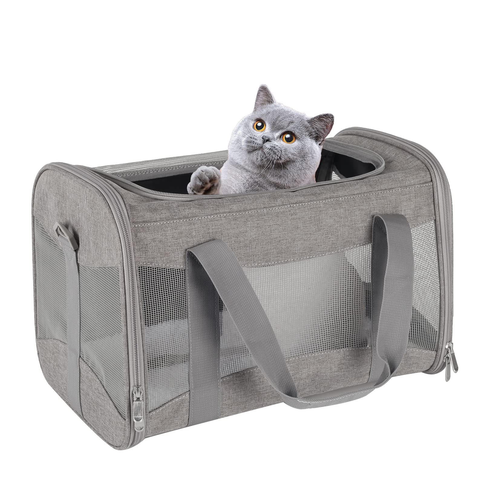 Airline-Approved Breathable Pet Carrier with Fleece Pad