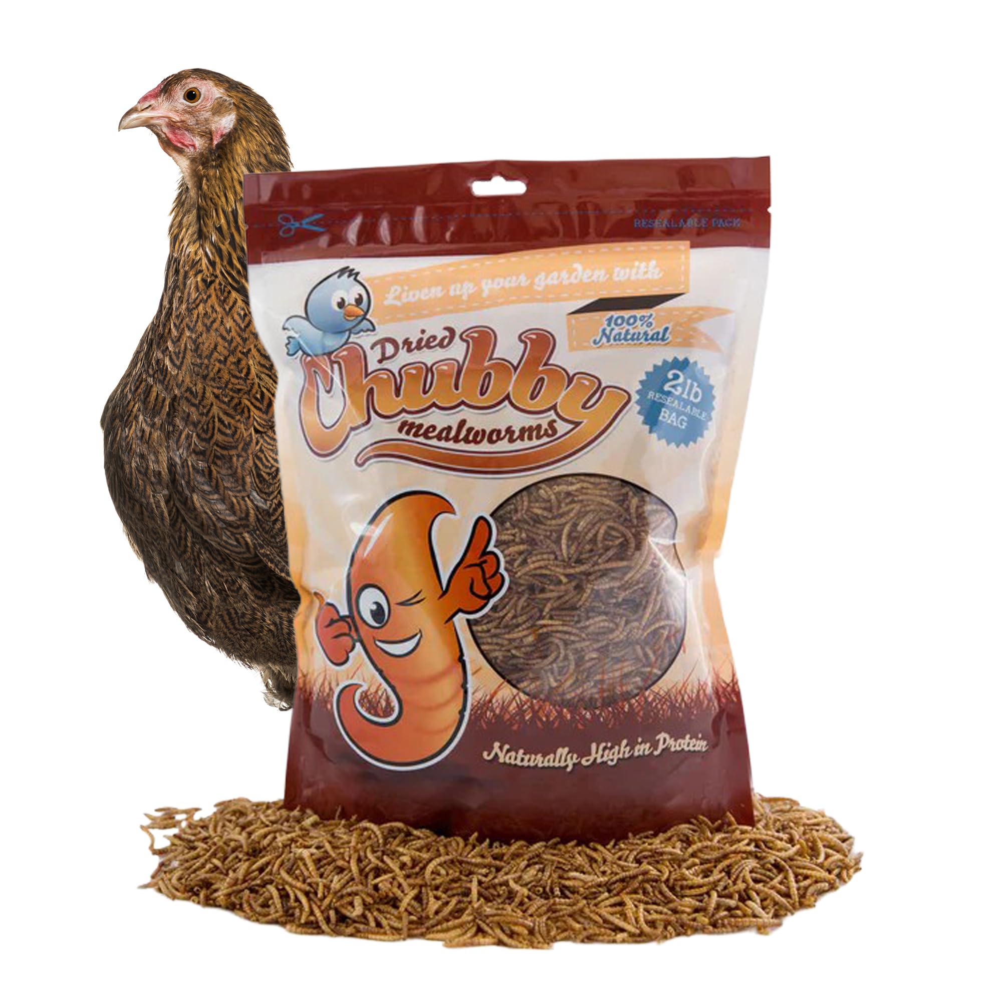 Chubby High-Protein Dried Mealworms for Birds & Poultry
