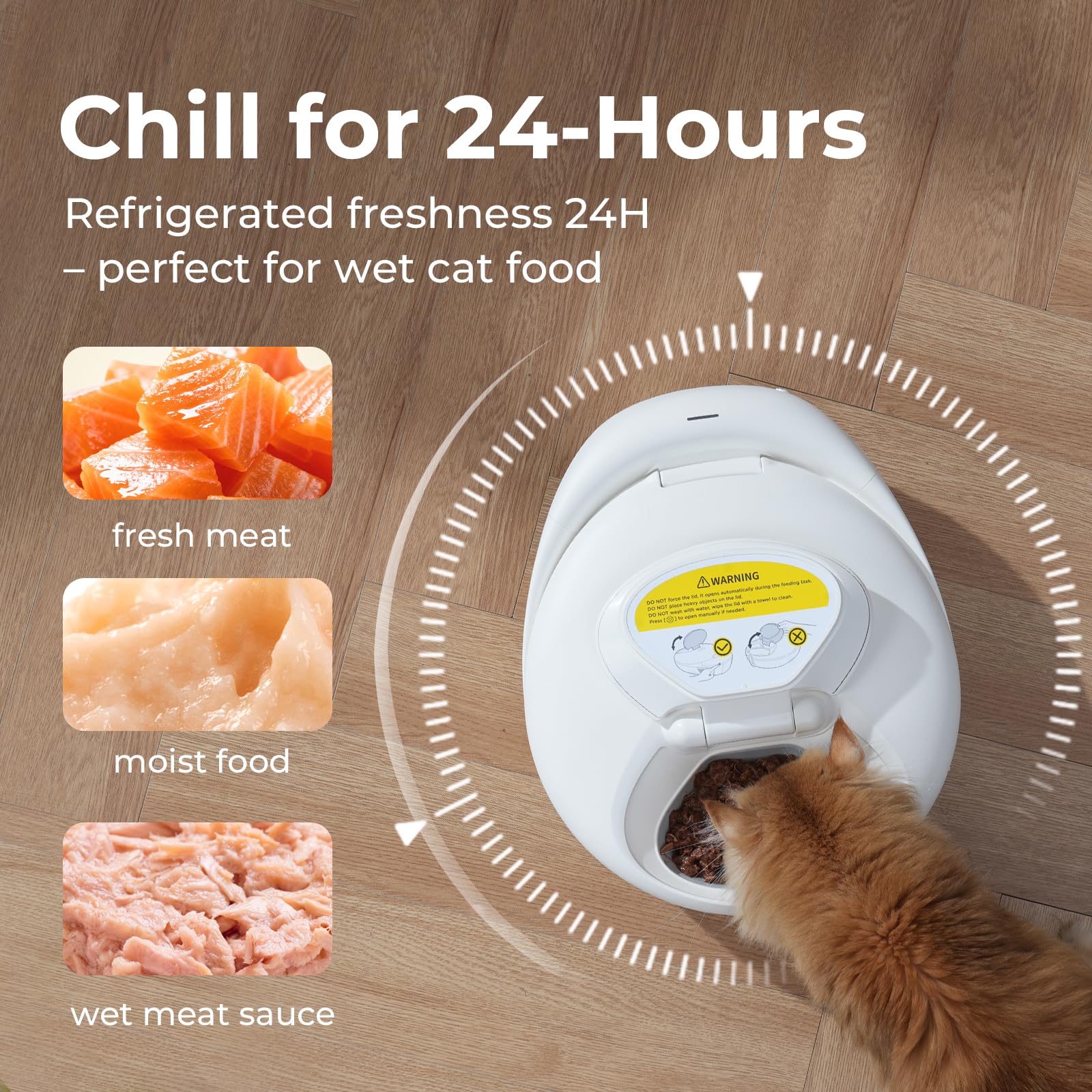Robotail Automatic Wet Food Feeder for Cats & Kittens