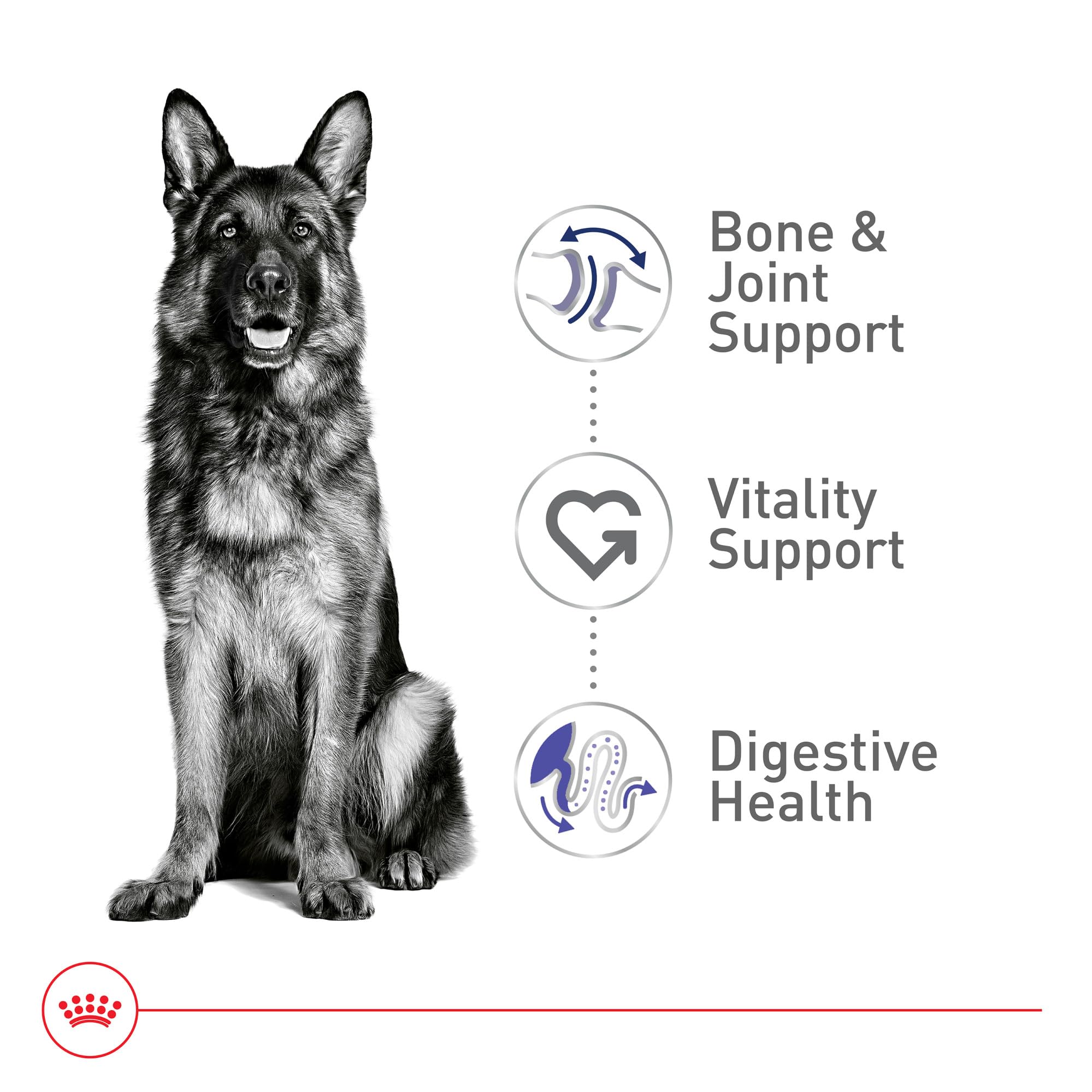 Royal Canin Size Health Large Adult Dry Dog Food