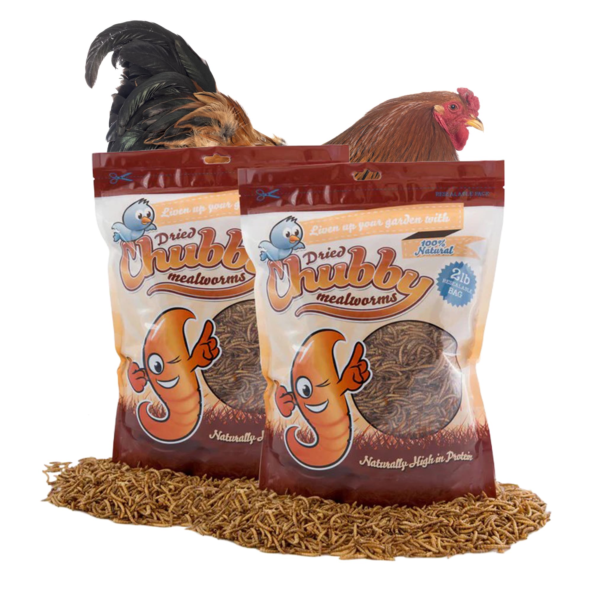 Chubby High-Protein Dried Mealworms for Birds & Poultry