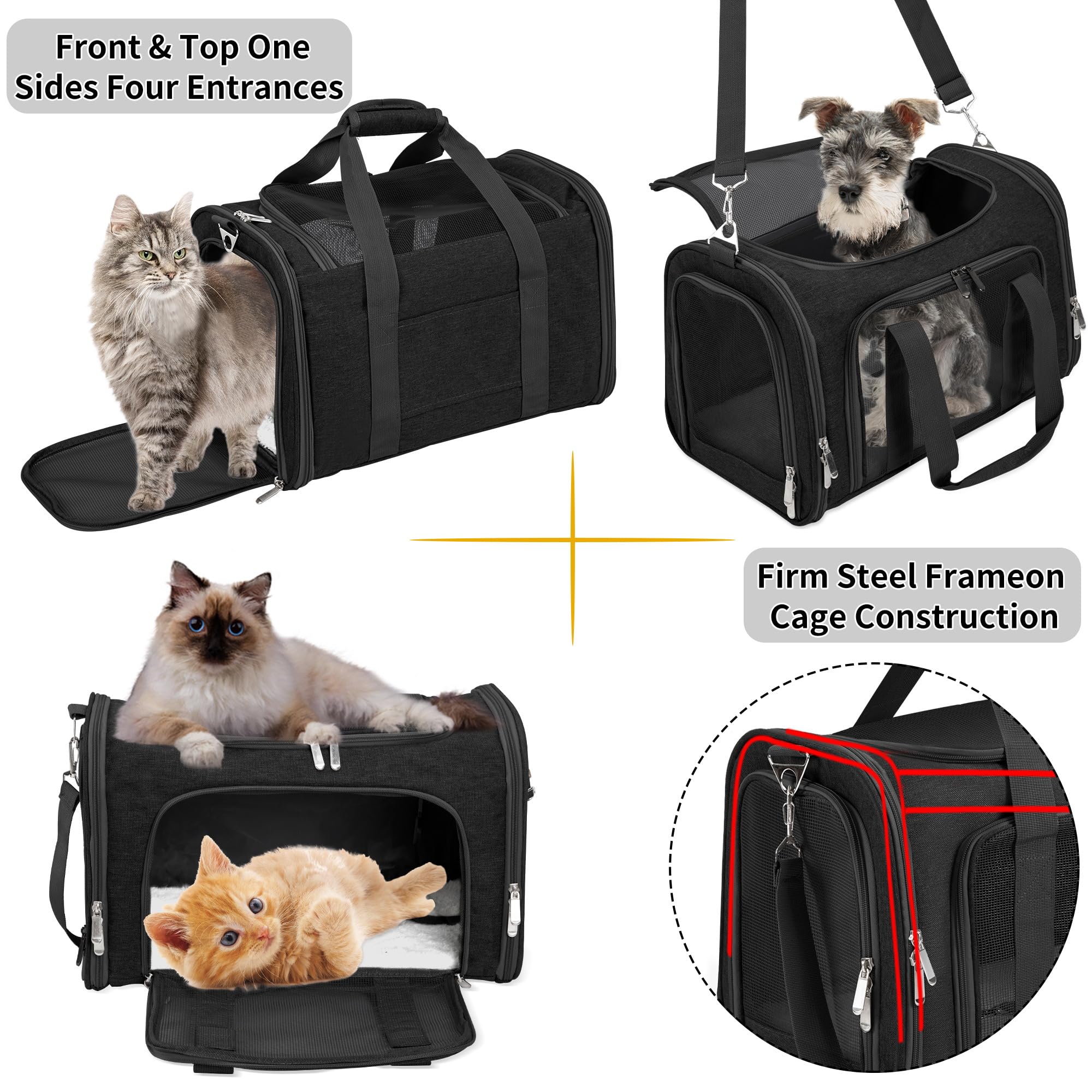 Soft-Sided Pet Carrier for Cats, Dogs & Small Animals