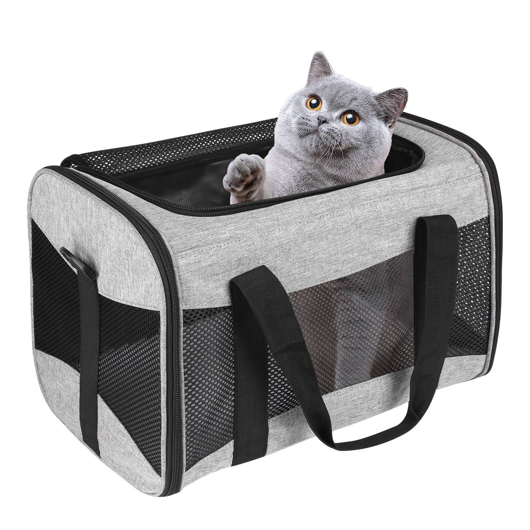 Airline-Approved Breathable Pet Carrier with Fleece Pad